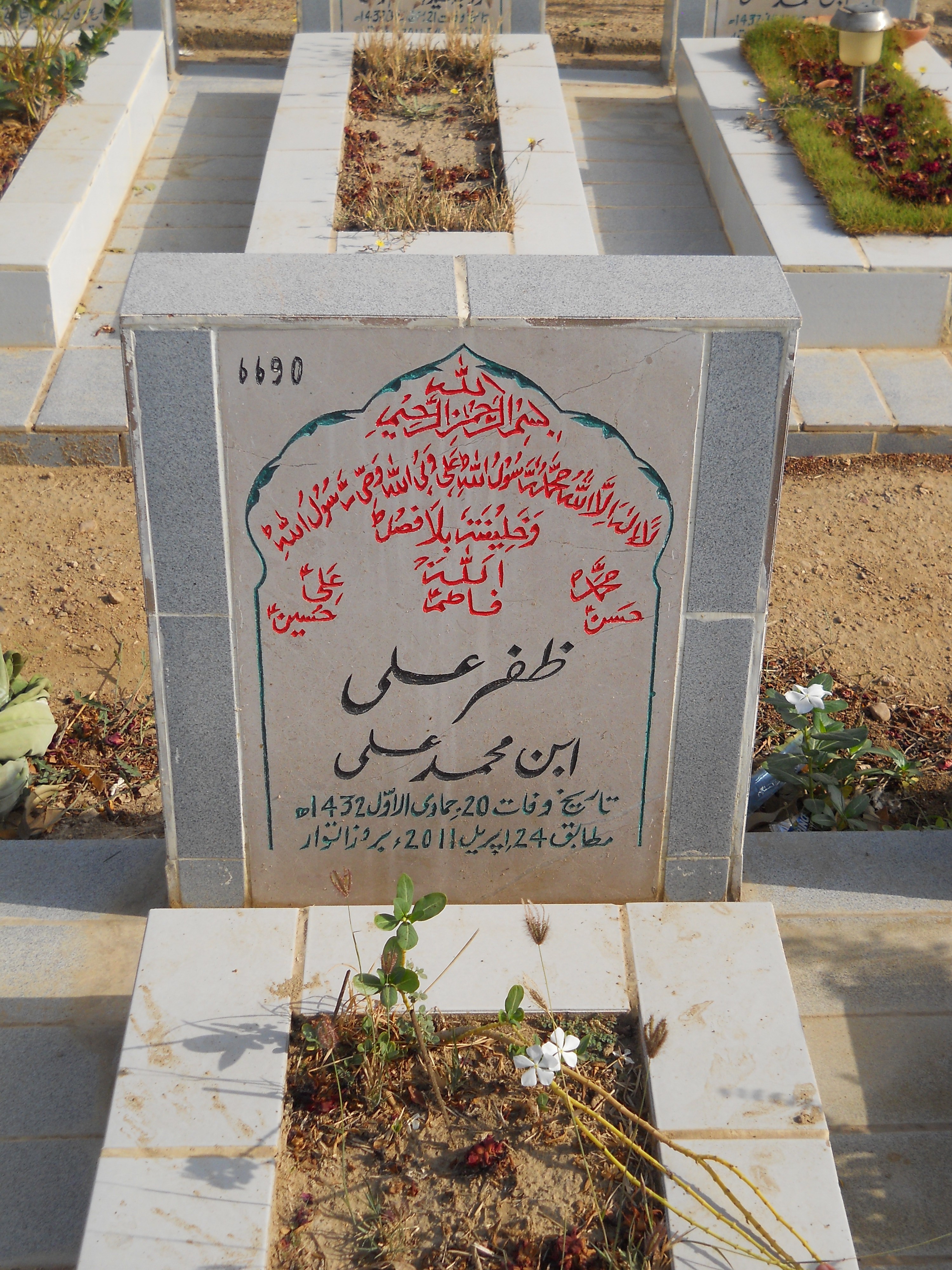 6690 – Zafar Ali