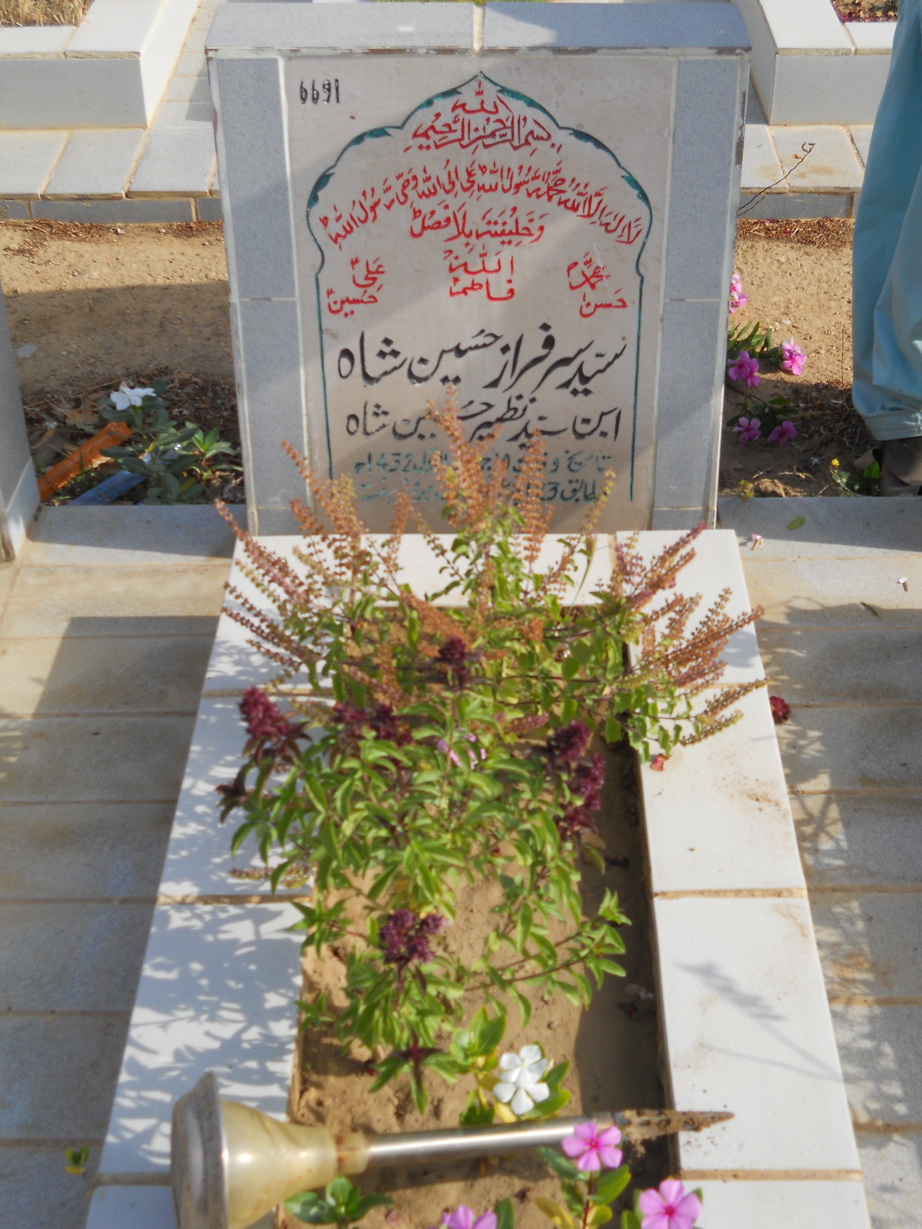 6691 – Syed Sarfaraz Hussain Shah