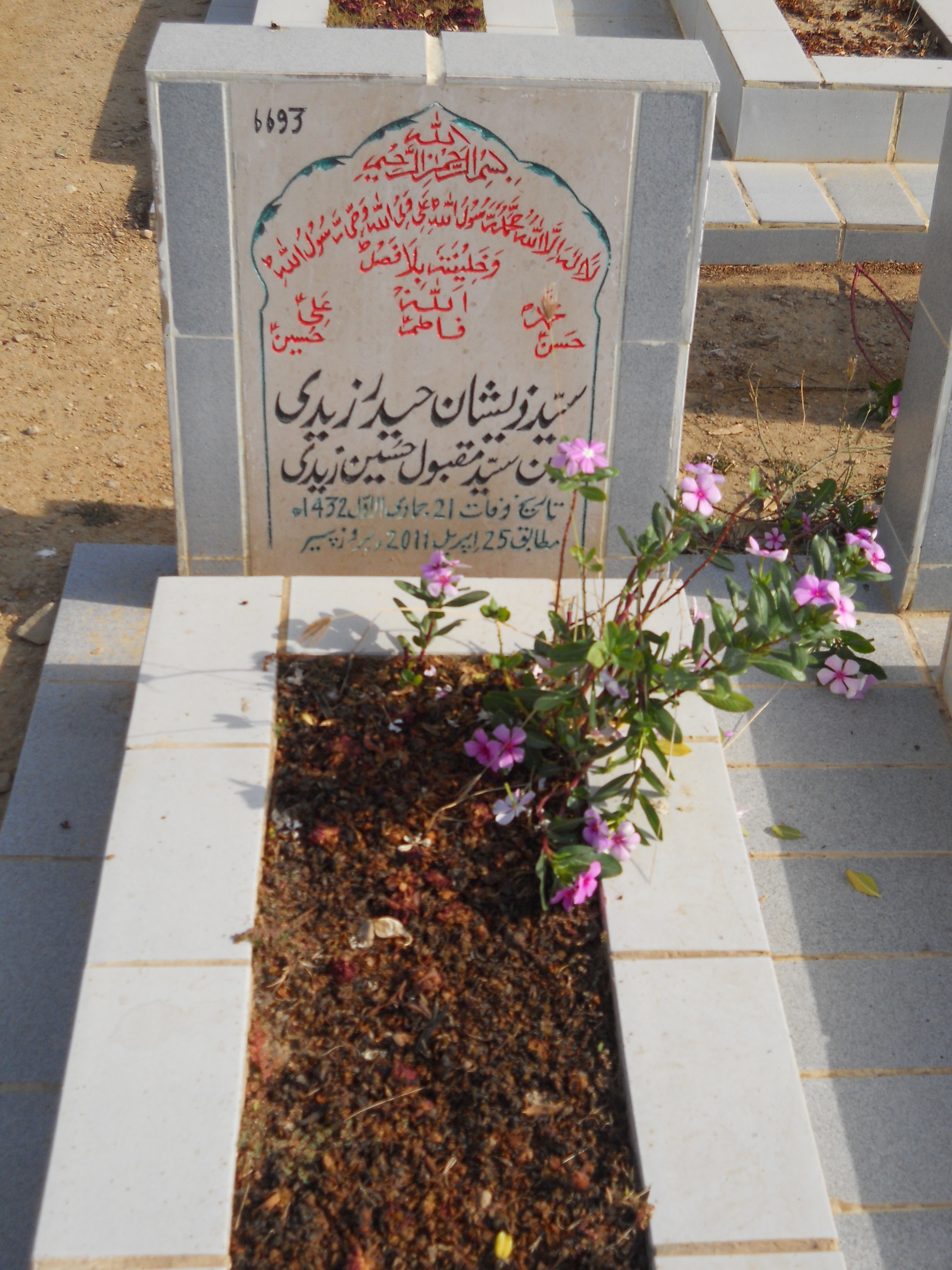 6693 – Syed Zeeshan Haider Zaidi