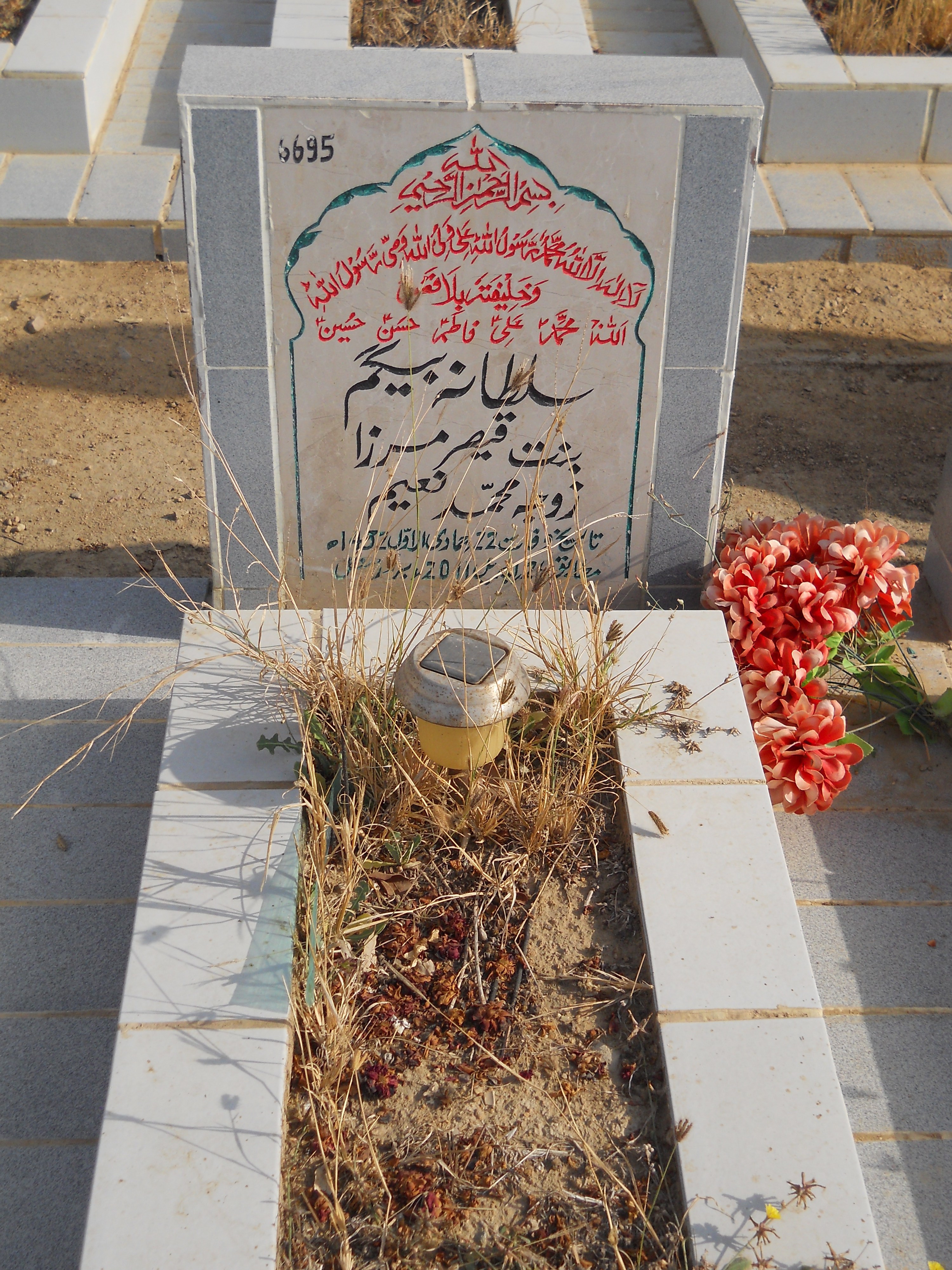6695 – Sultana Begum