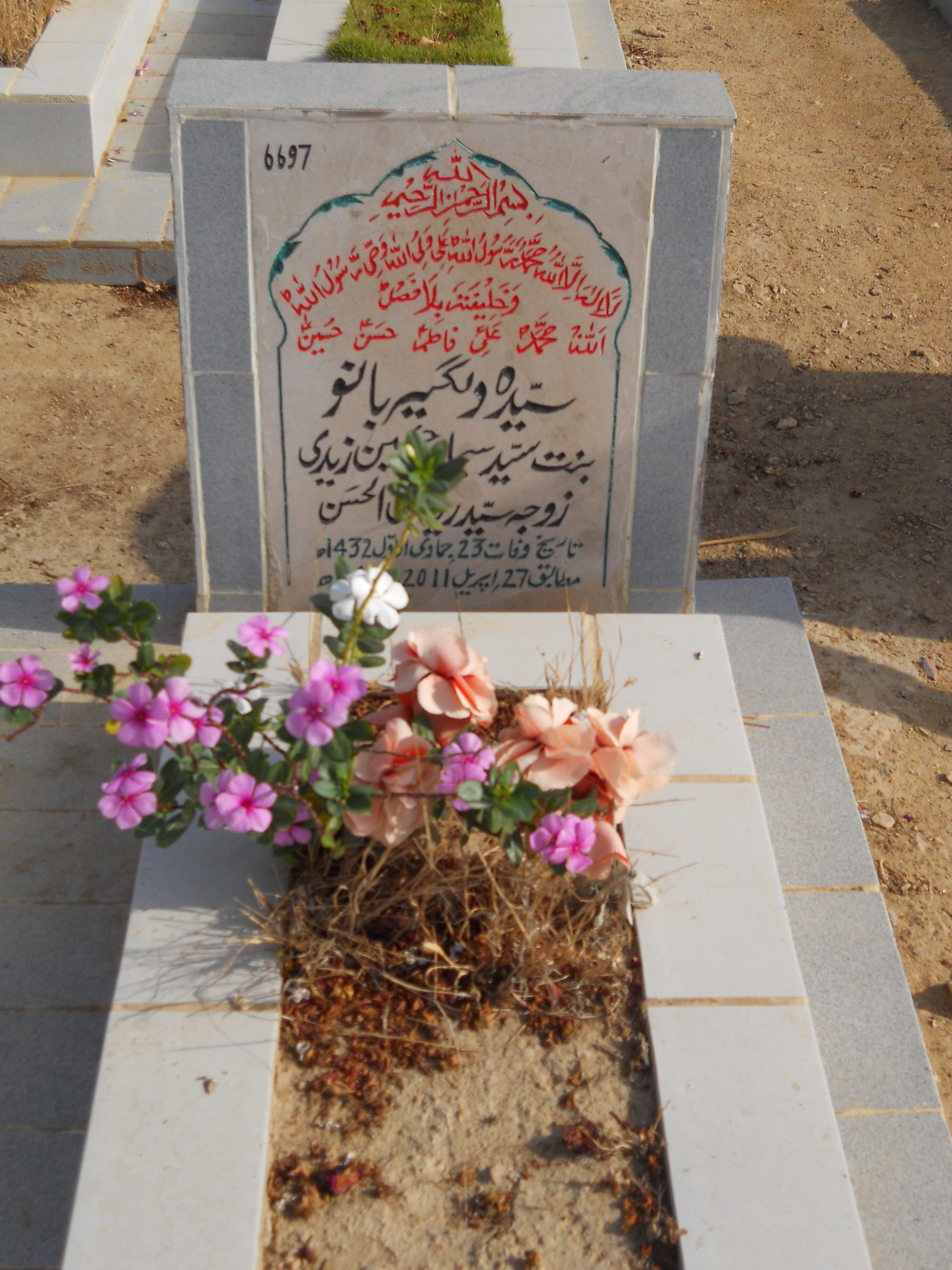 6697 – Syeda Dilgeer Bano