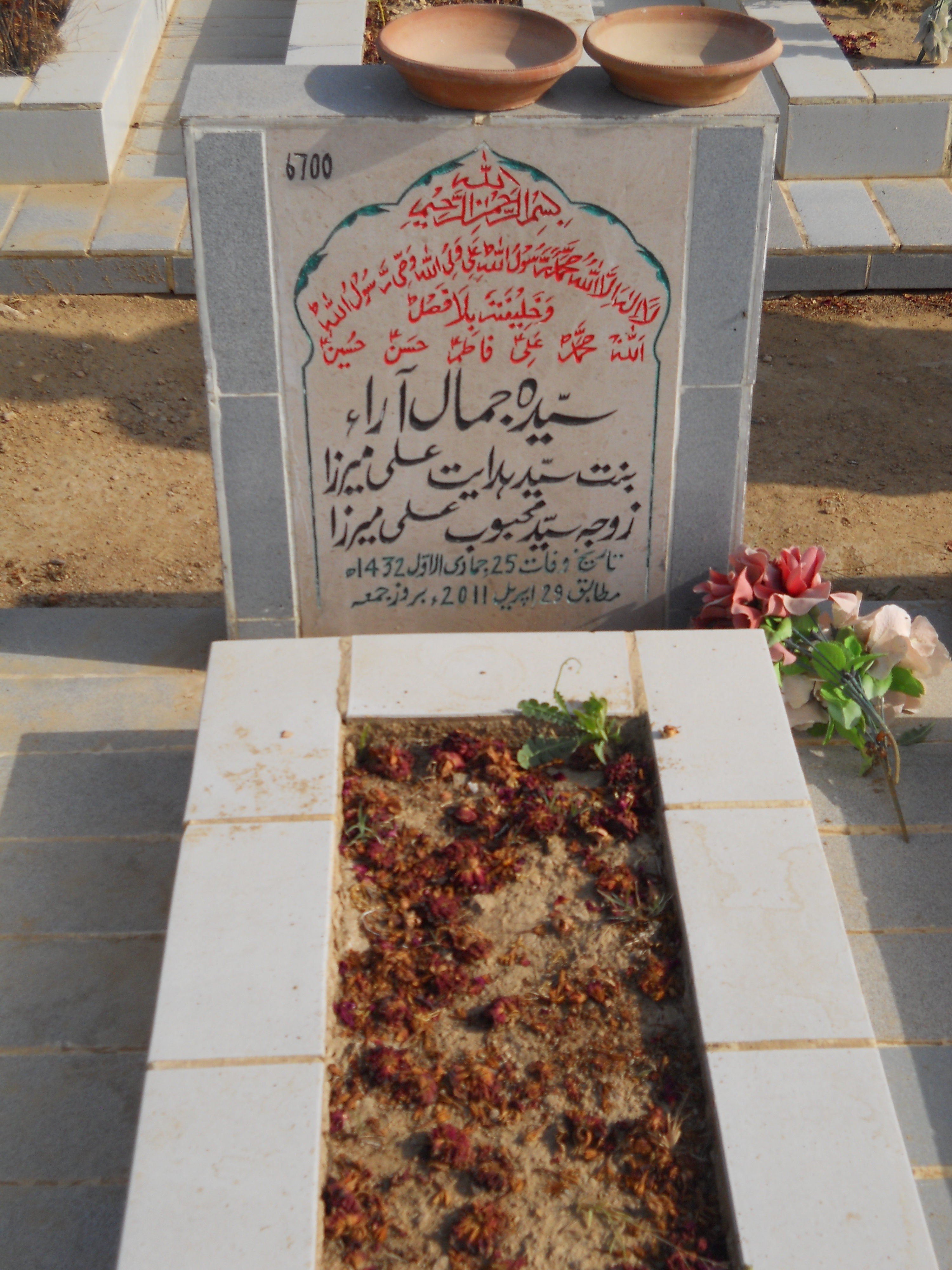 6700 – Syeda Jamal Araa