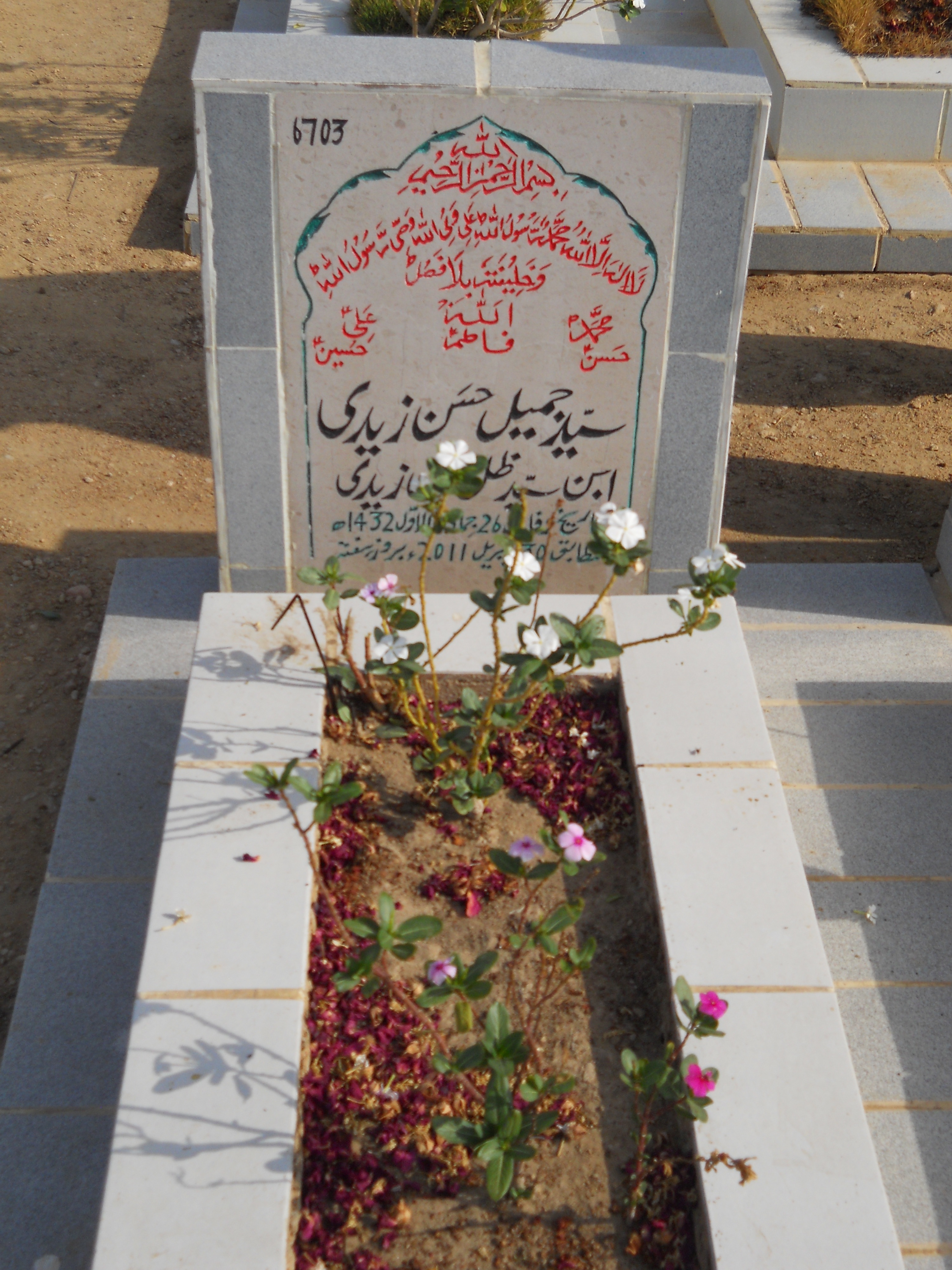 6703 – Syed Jameel Hasan Zaidi