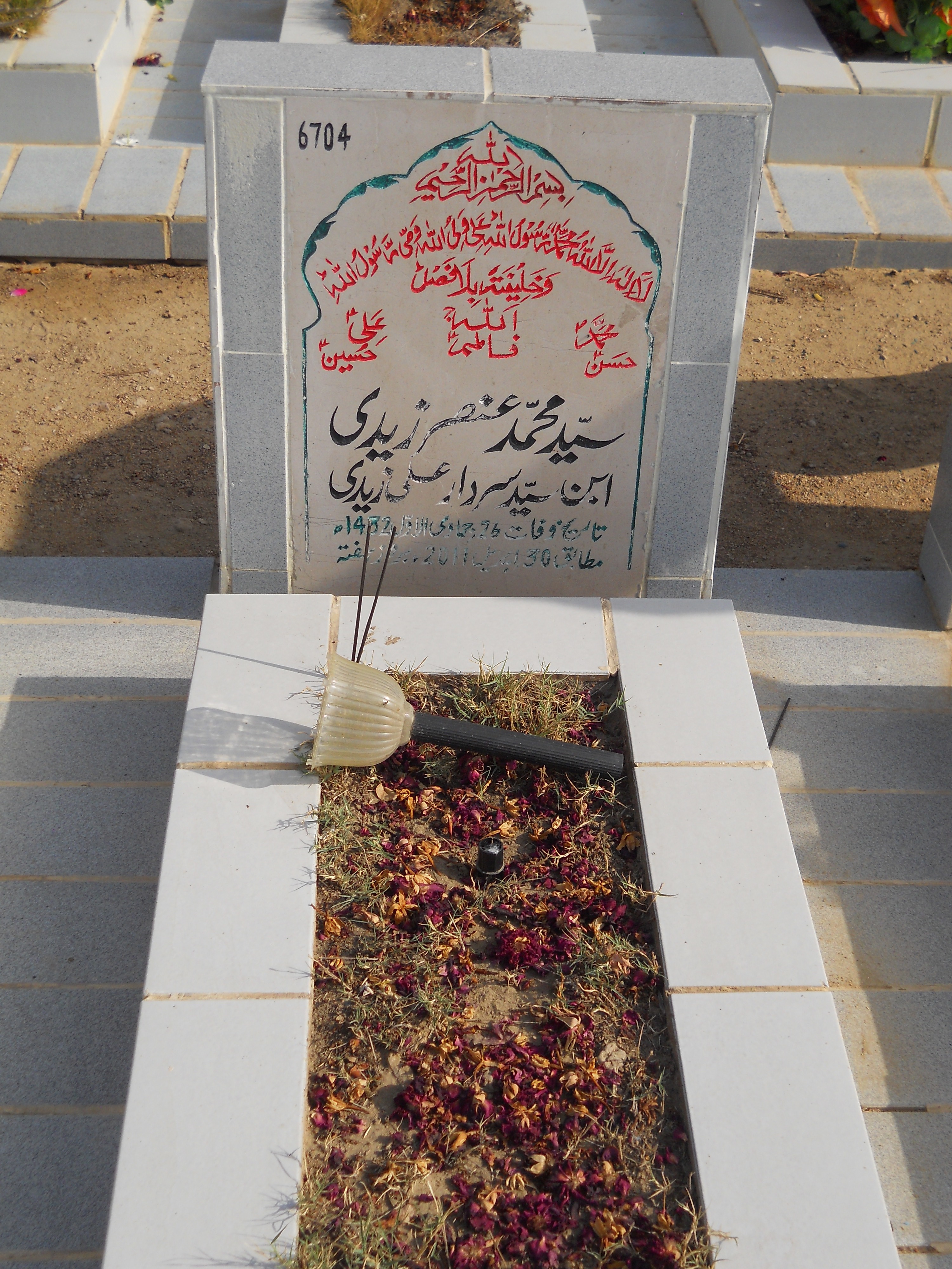 6704 – Syed Muhammad Ansir Zaidi