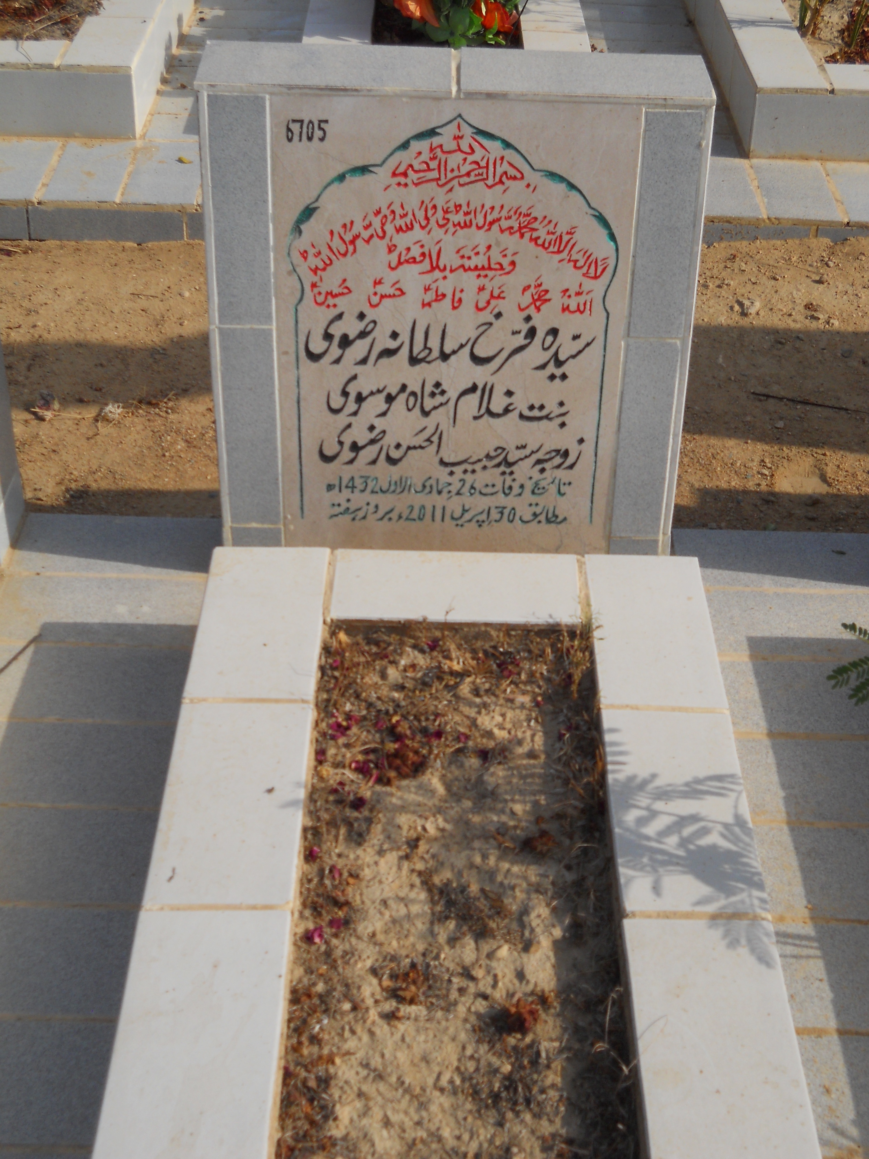 6705 – Syeda Farah Sultana Rizvi