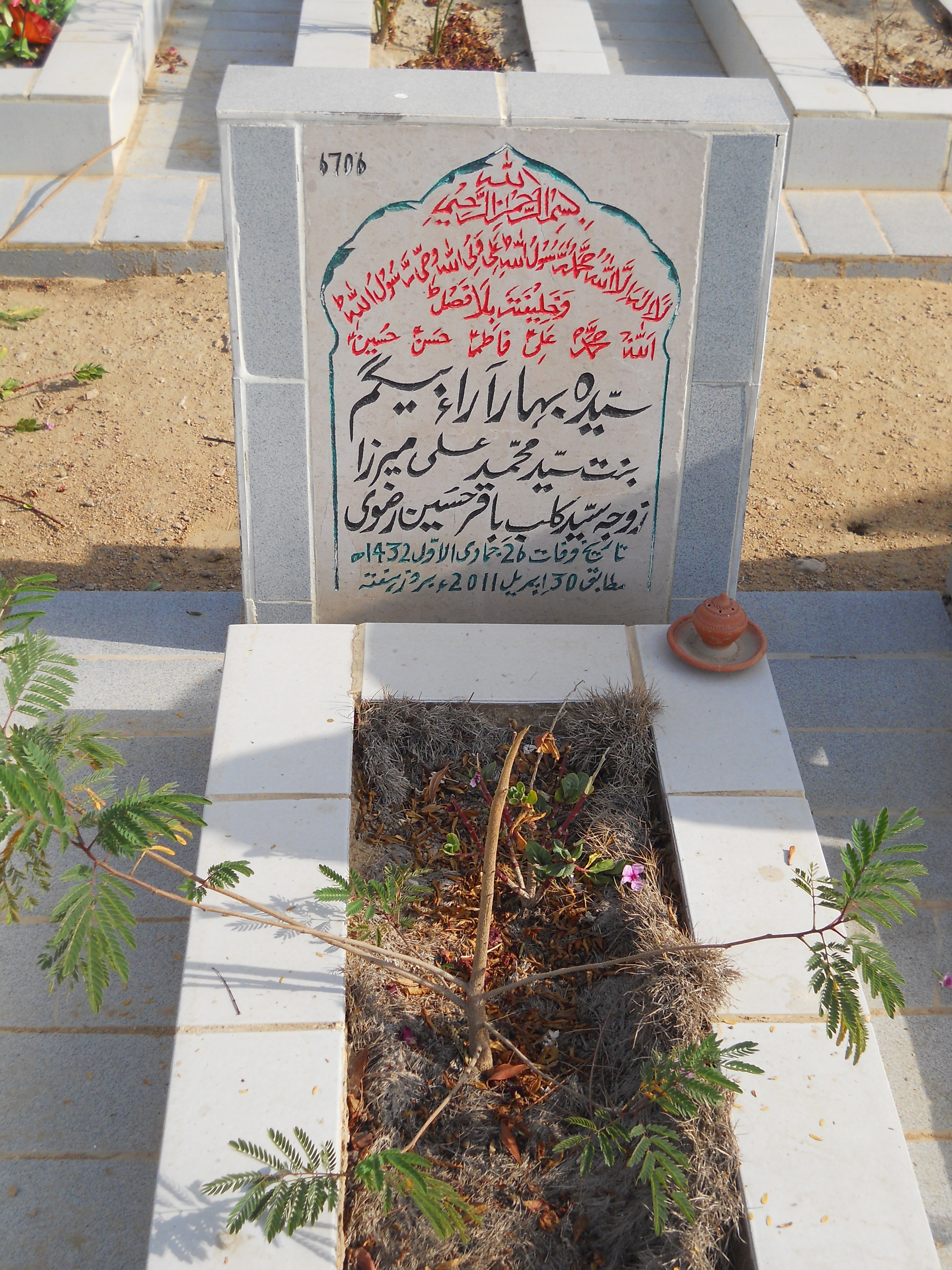 6706 – Syeda Bahar Araa Begum