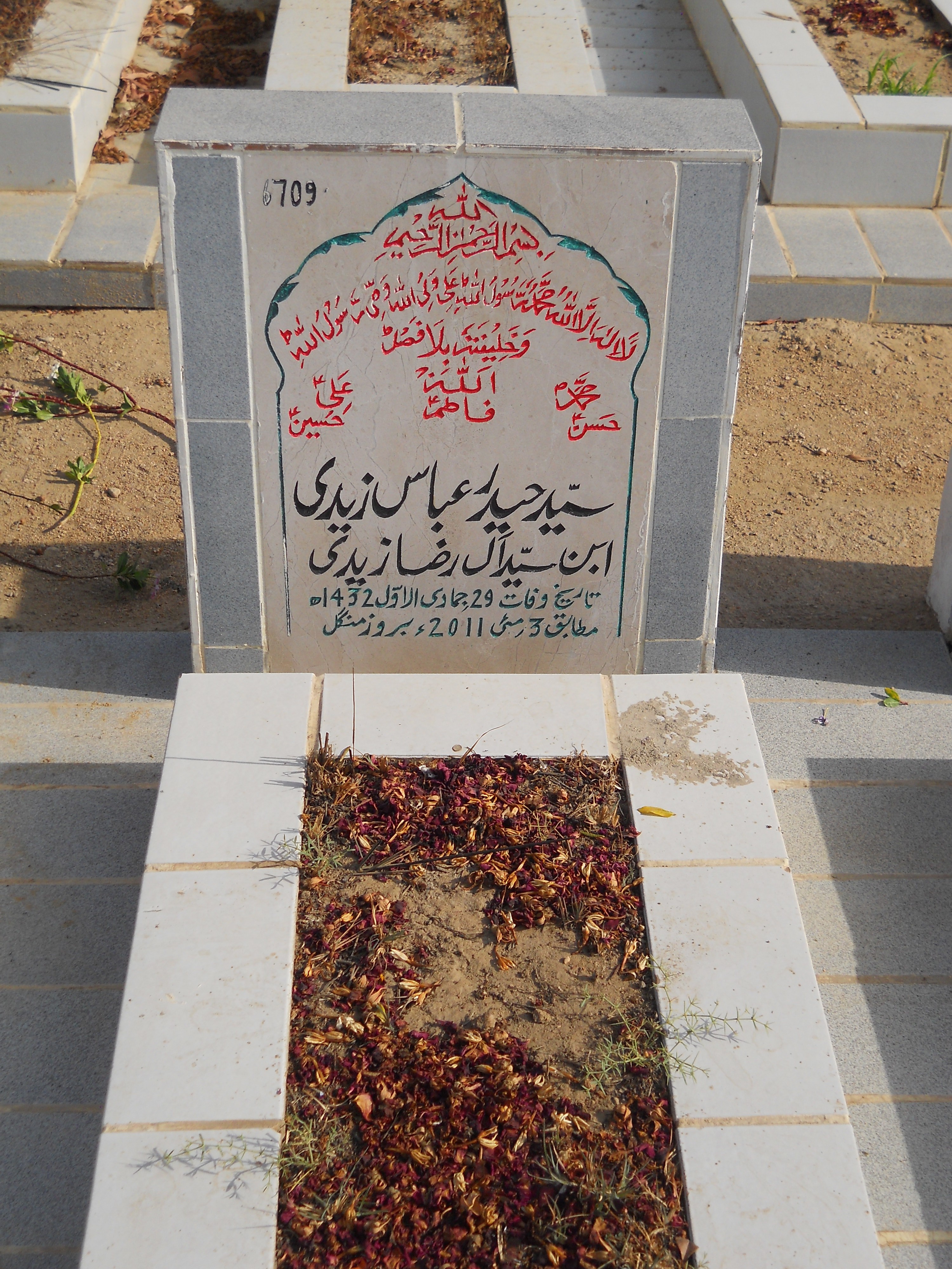 6709 – Syed Haider Abbas Zaidi
