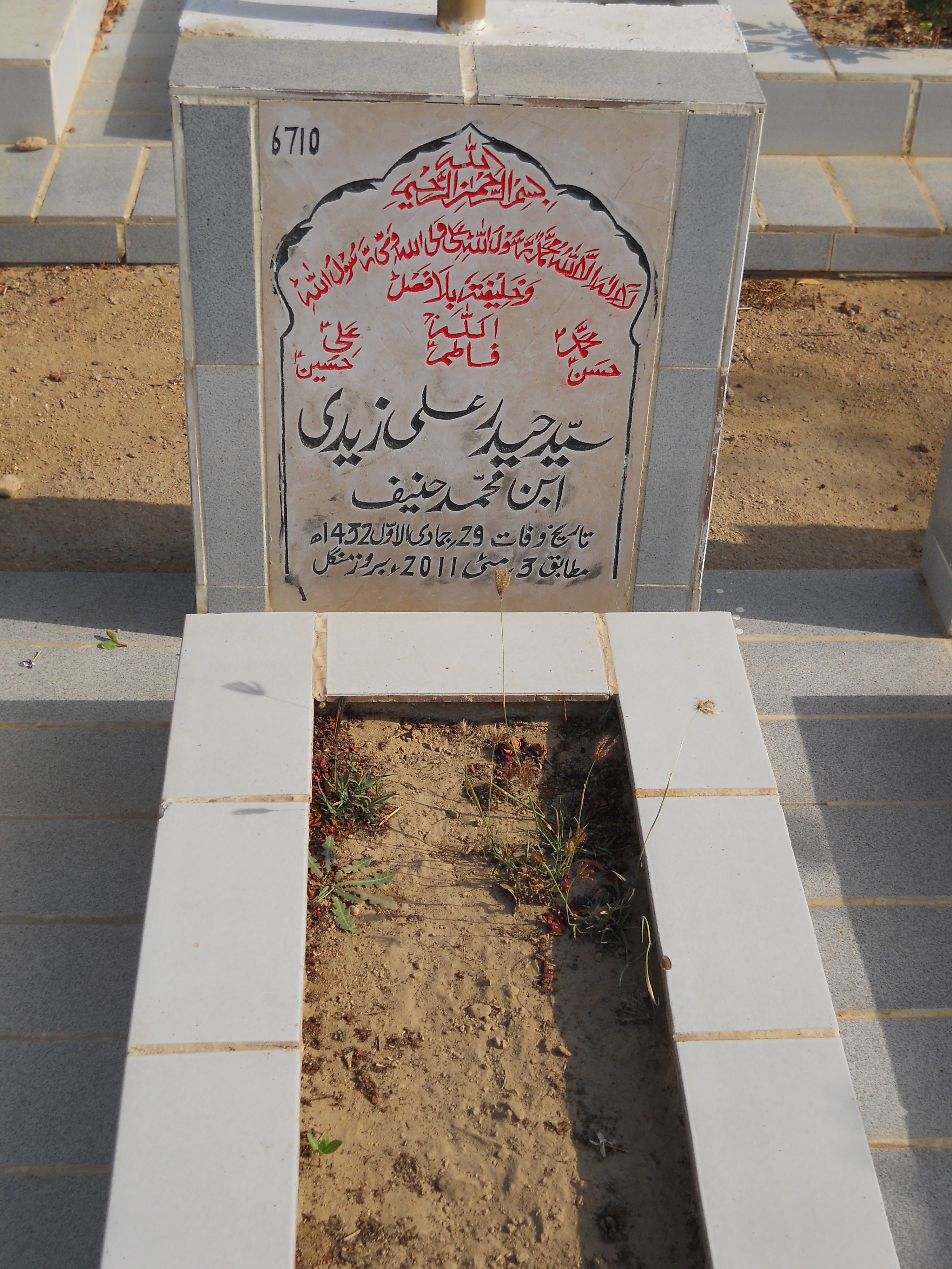 6710 – Syed Haider Ali Zaidi