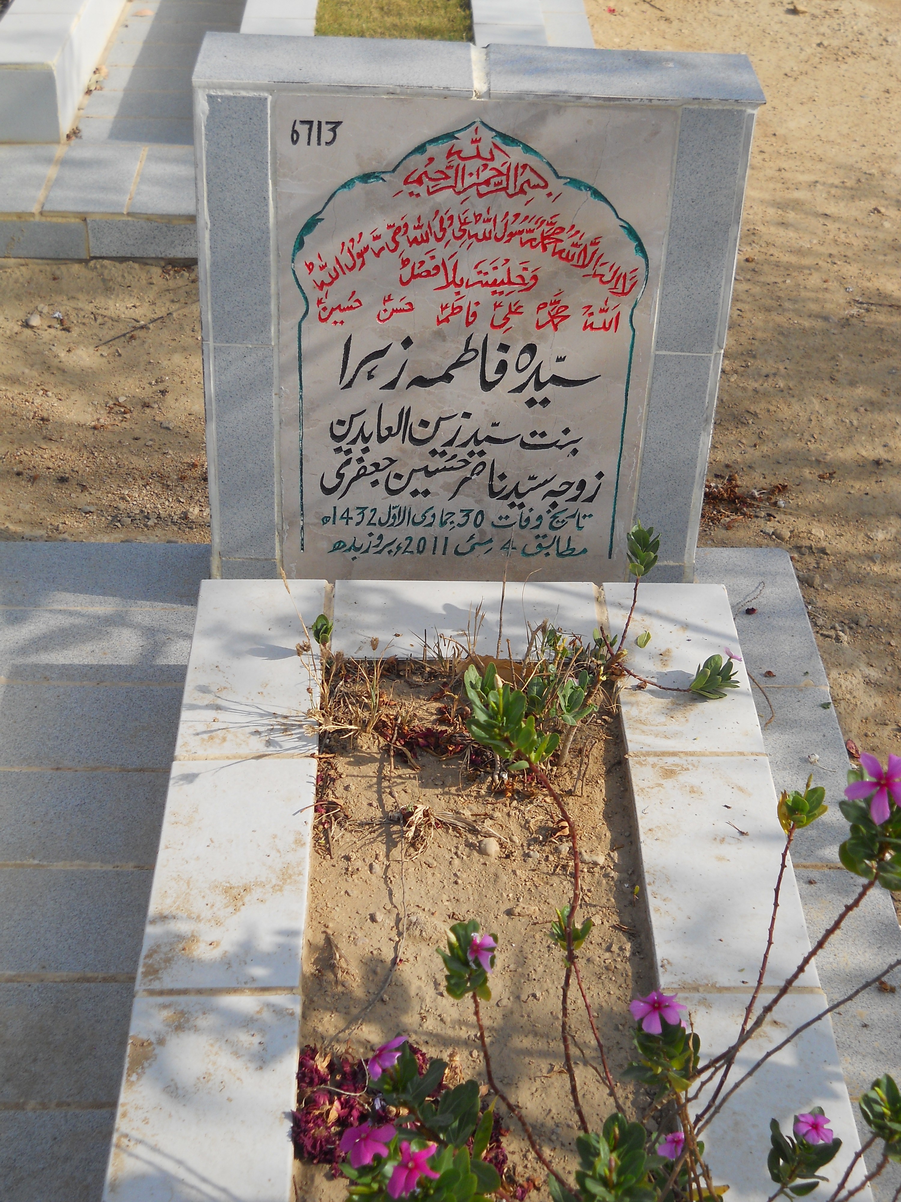 6713 – Syeda Fatima Zehra