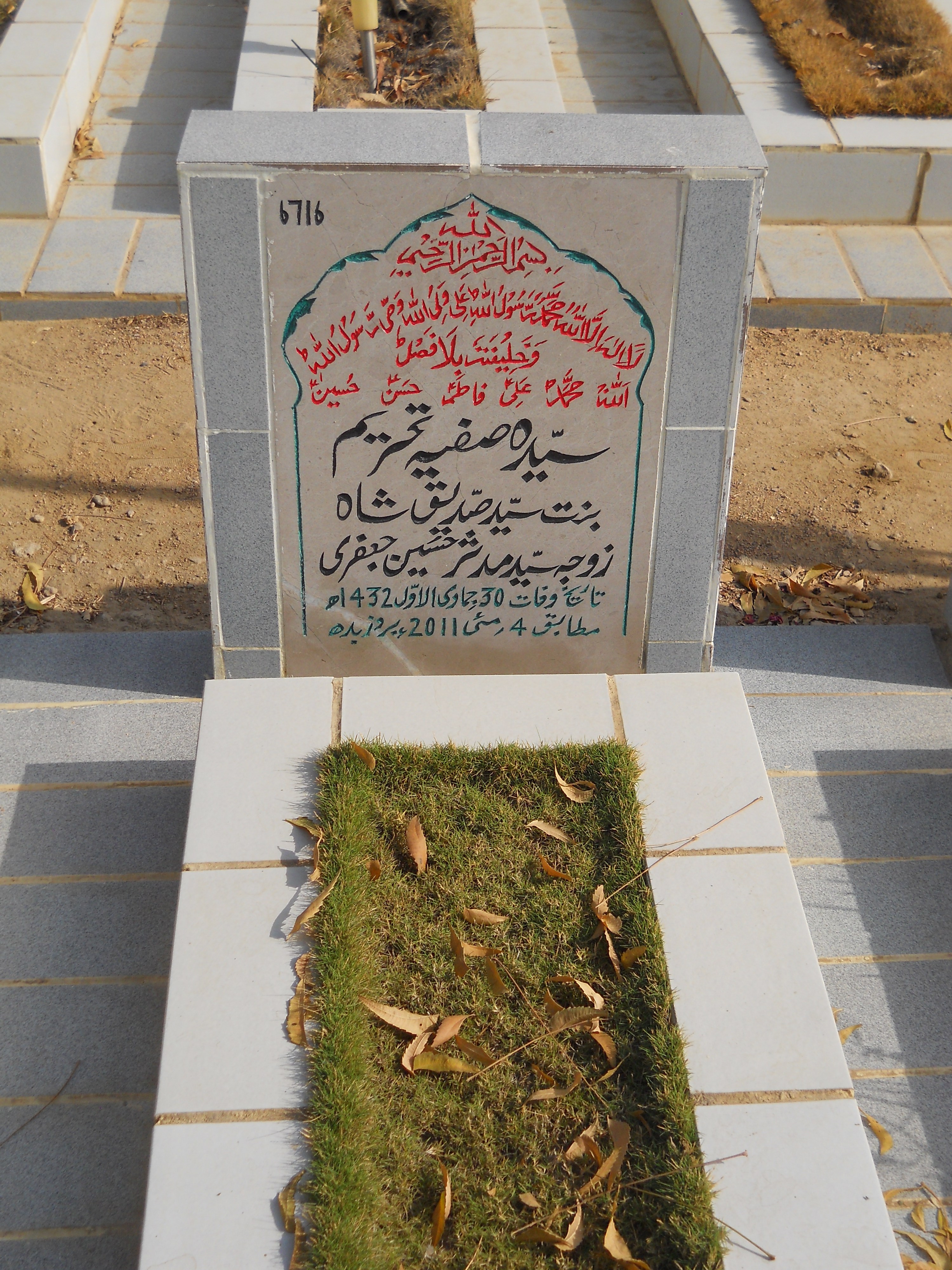6716 – Syeda Safiya Tehreem