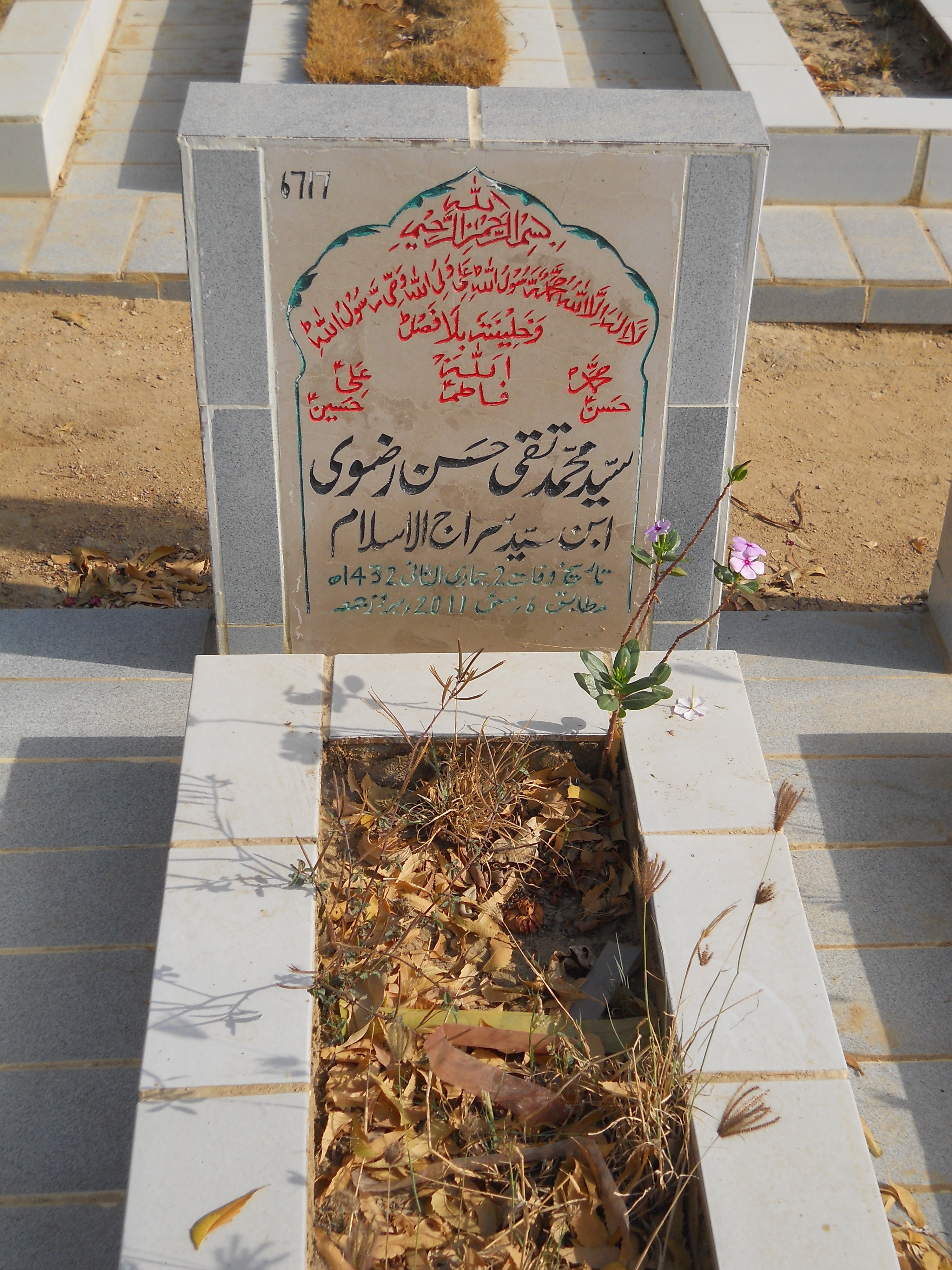 6717 – Syed Muhammad Taqi Hasan Rizvi