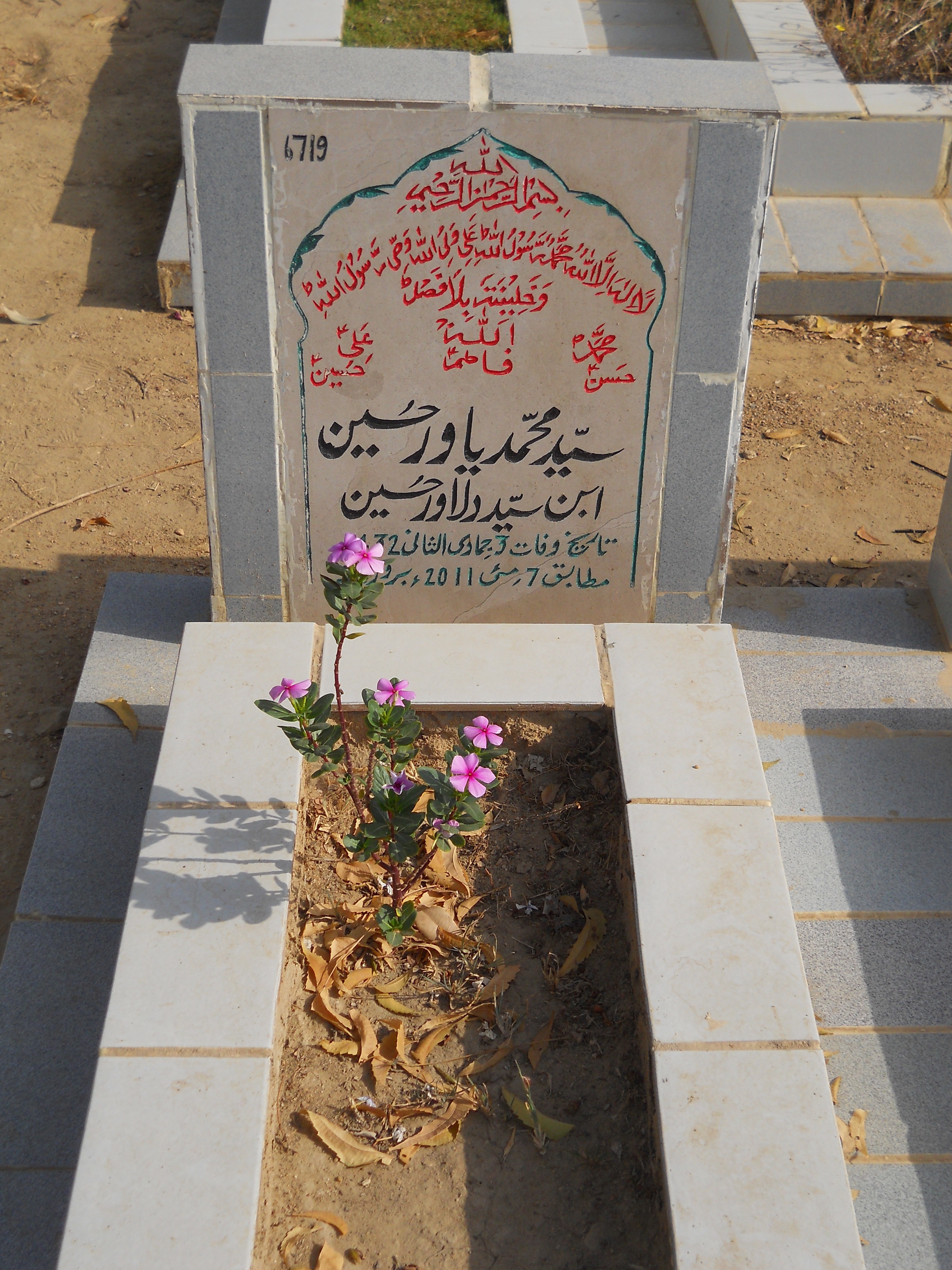 6719 – Syed Muhammad Yawar Hussain