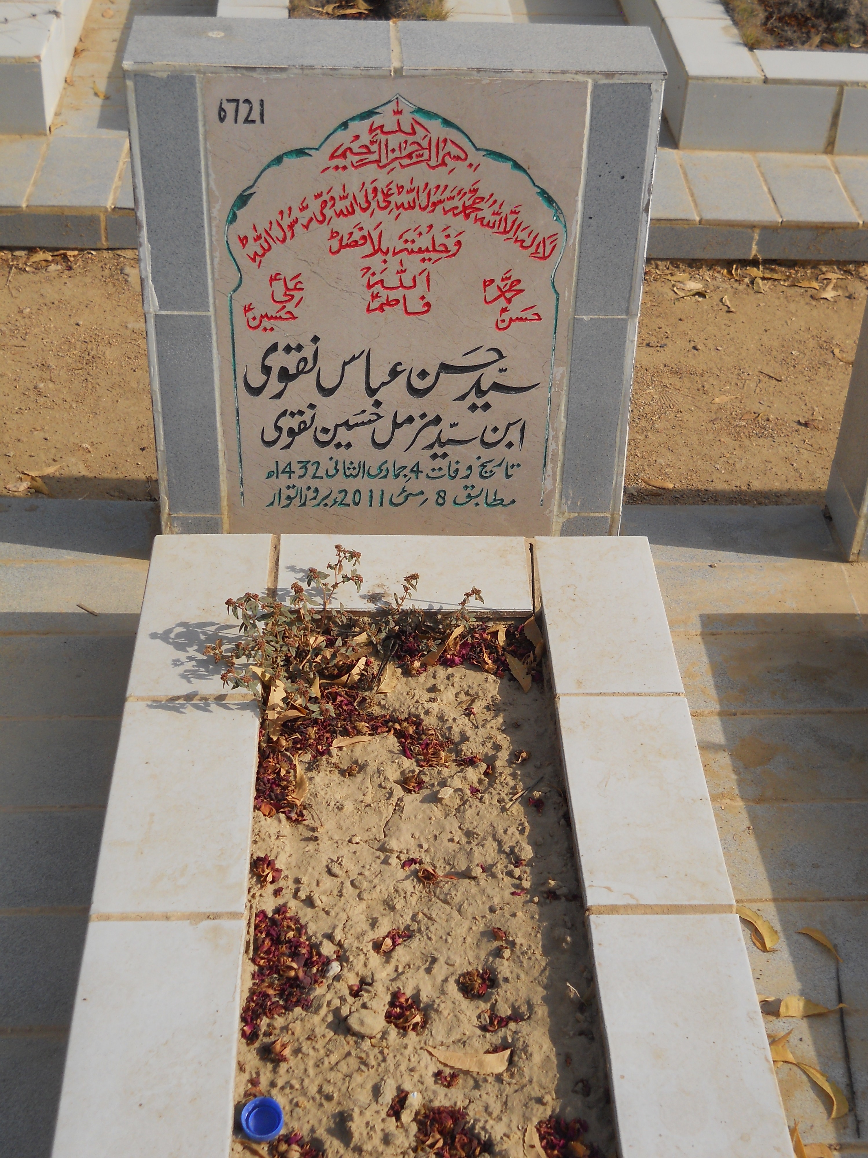 6721 – Syed Hasan Abbas Naqvi