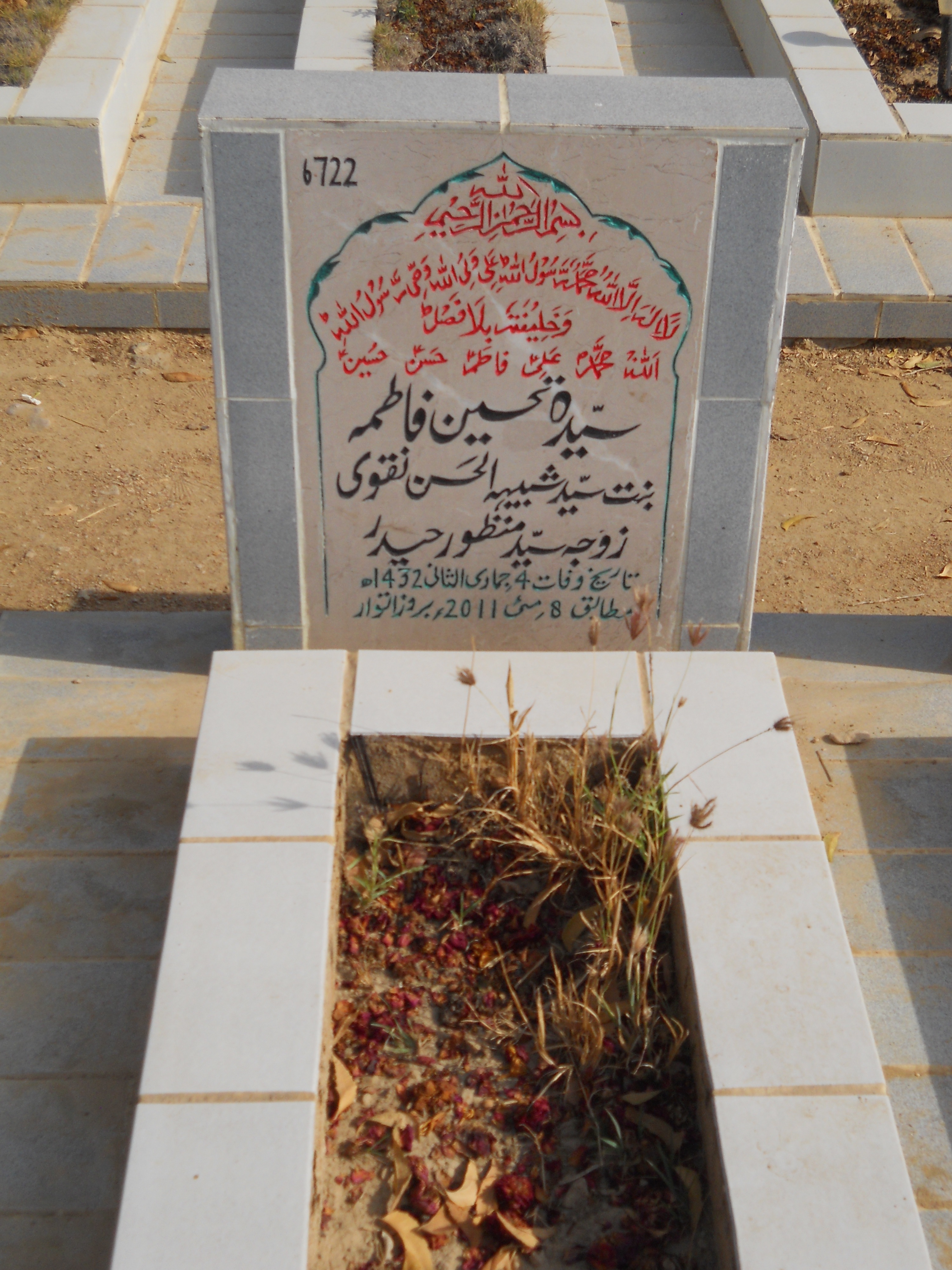 6722 – Syeda Tehseen Fatima
