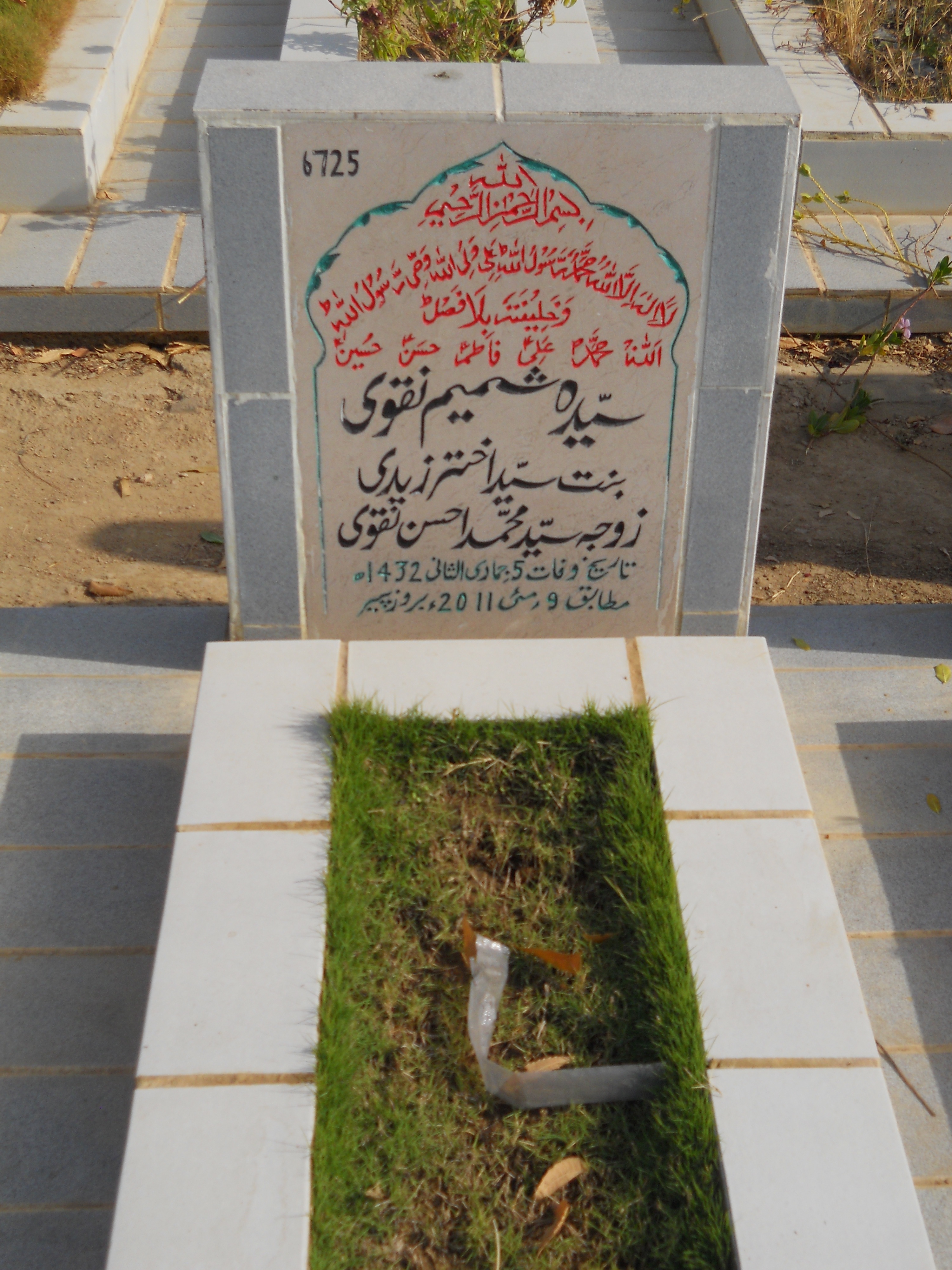 6725 – Syeda Shamim Naqvi