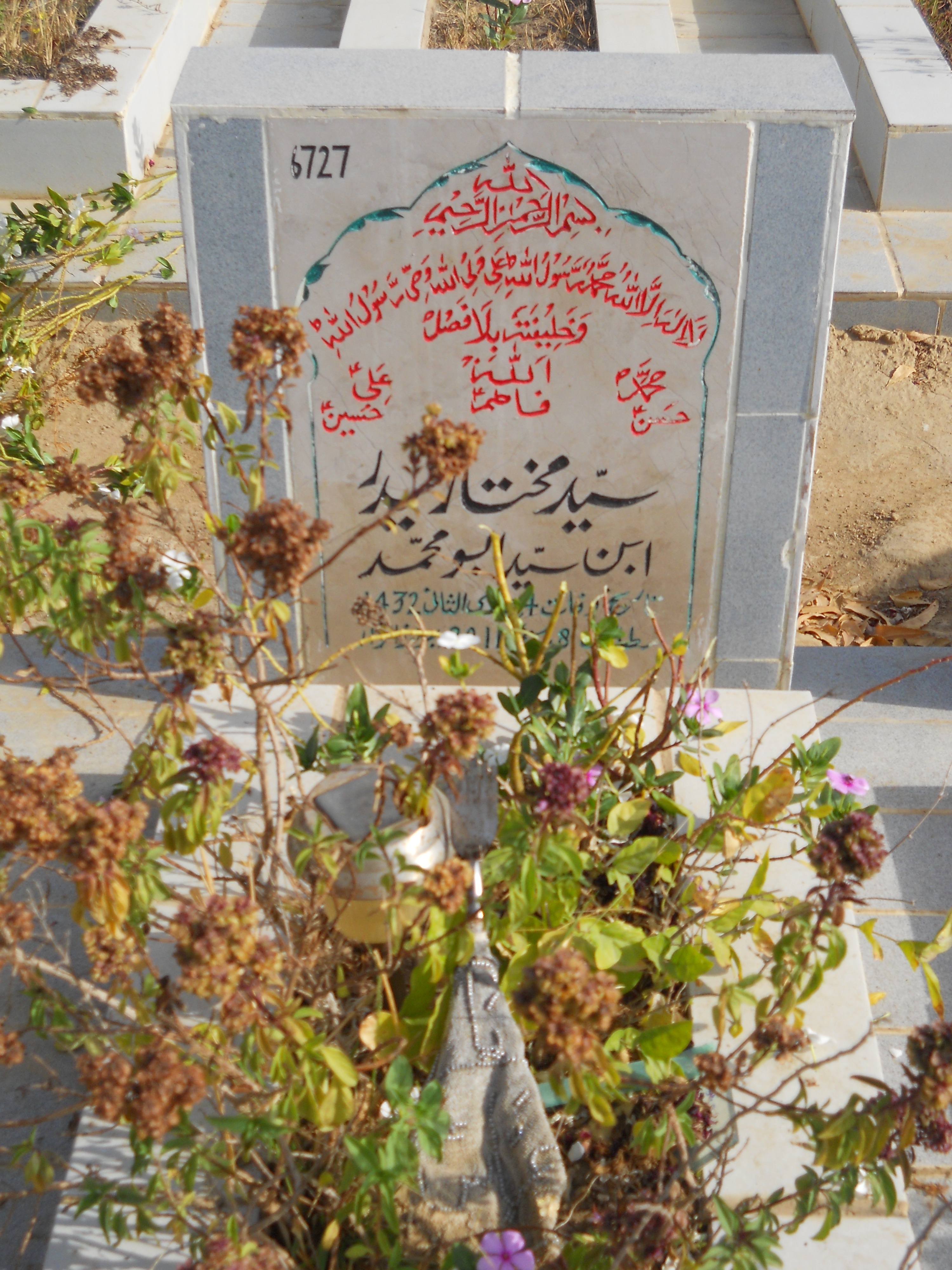 6727 – Syed Mukhtar Haider