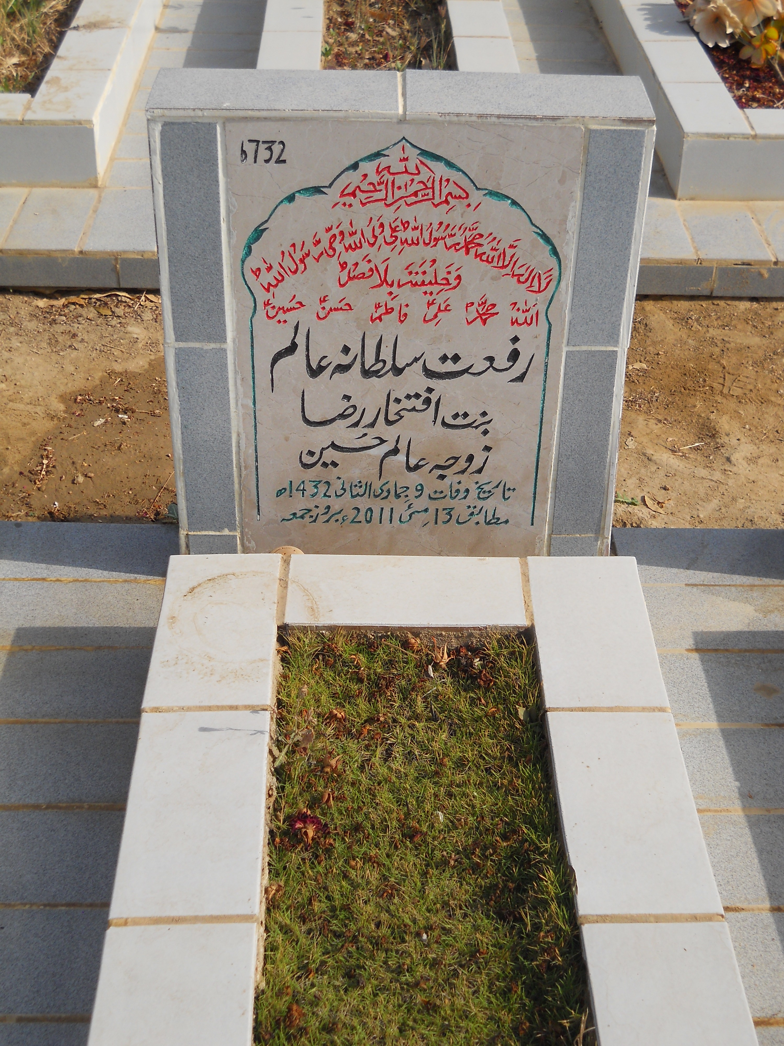 6732 – Riffat Sultana Alam