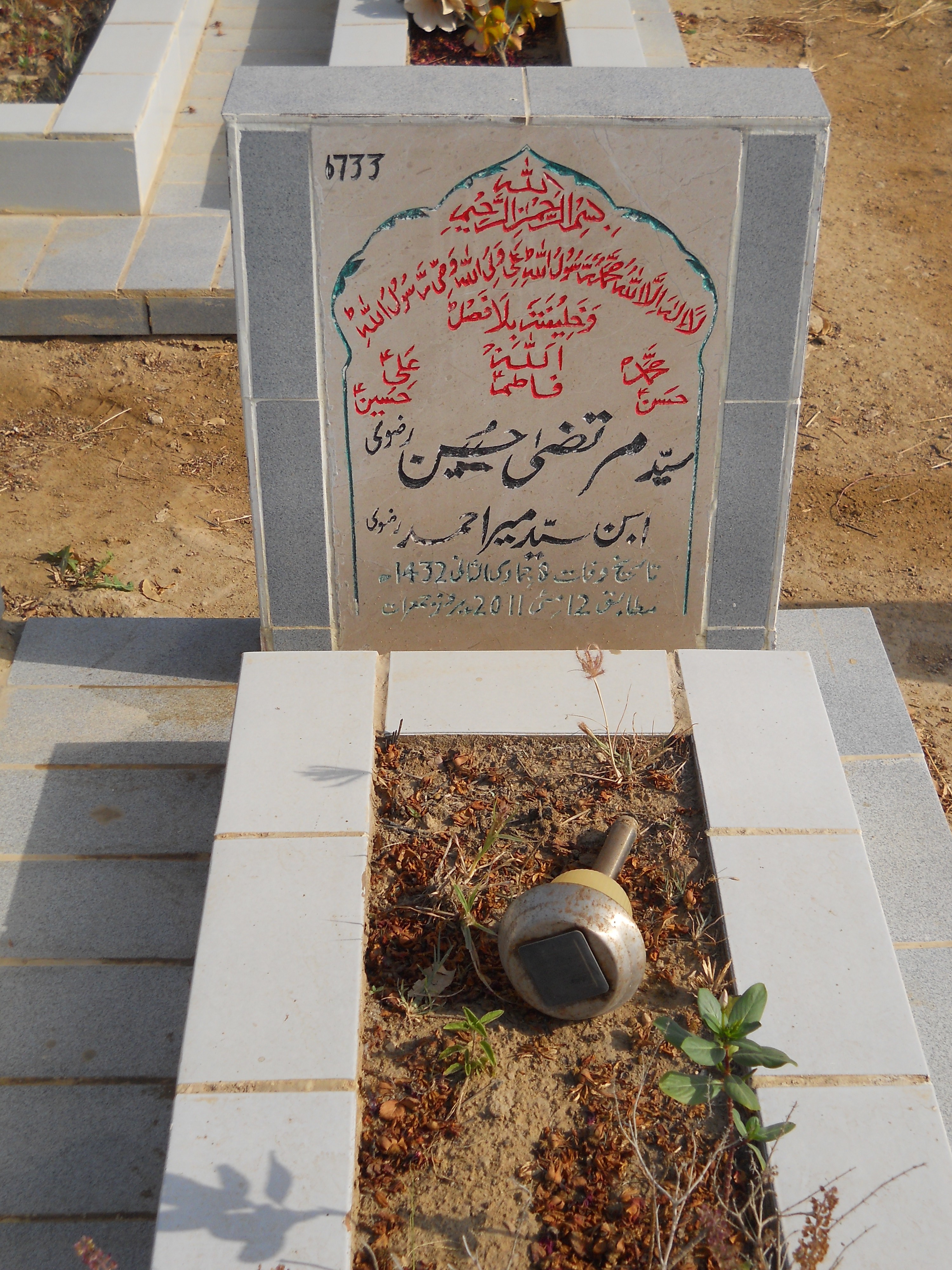 6733 – Syed Murtaza Hasan Rizvi