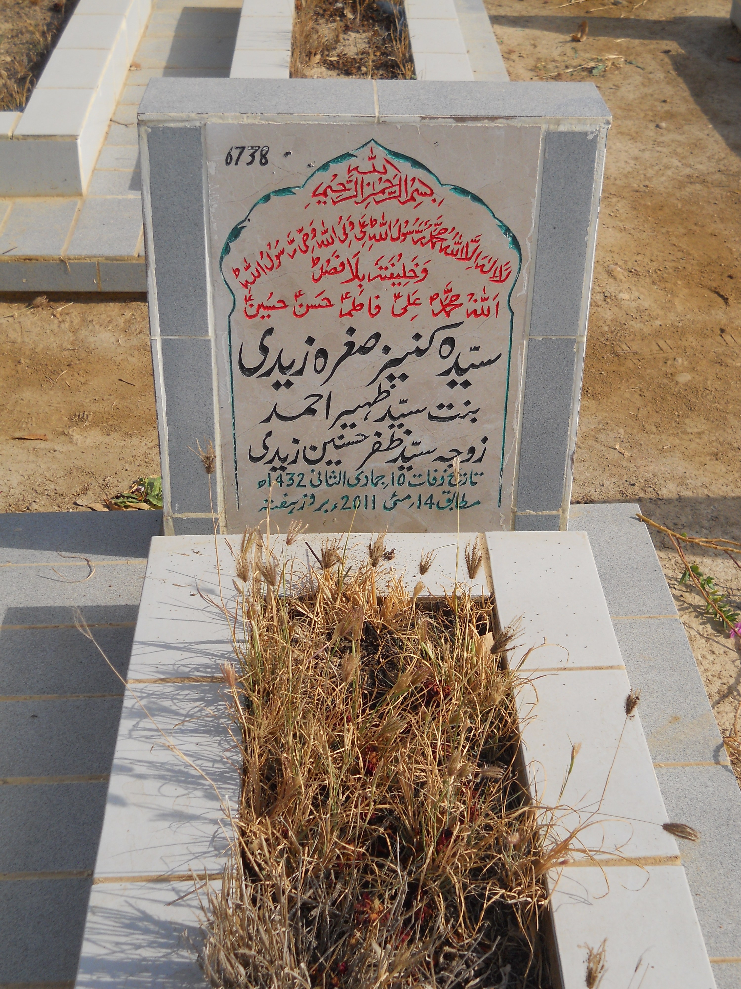 6738 – Syeda Kaneez Sughra Zaidi