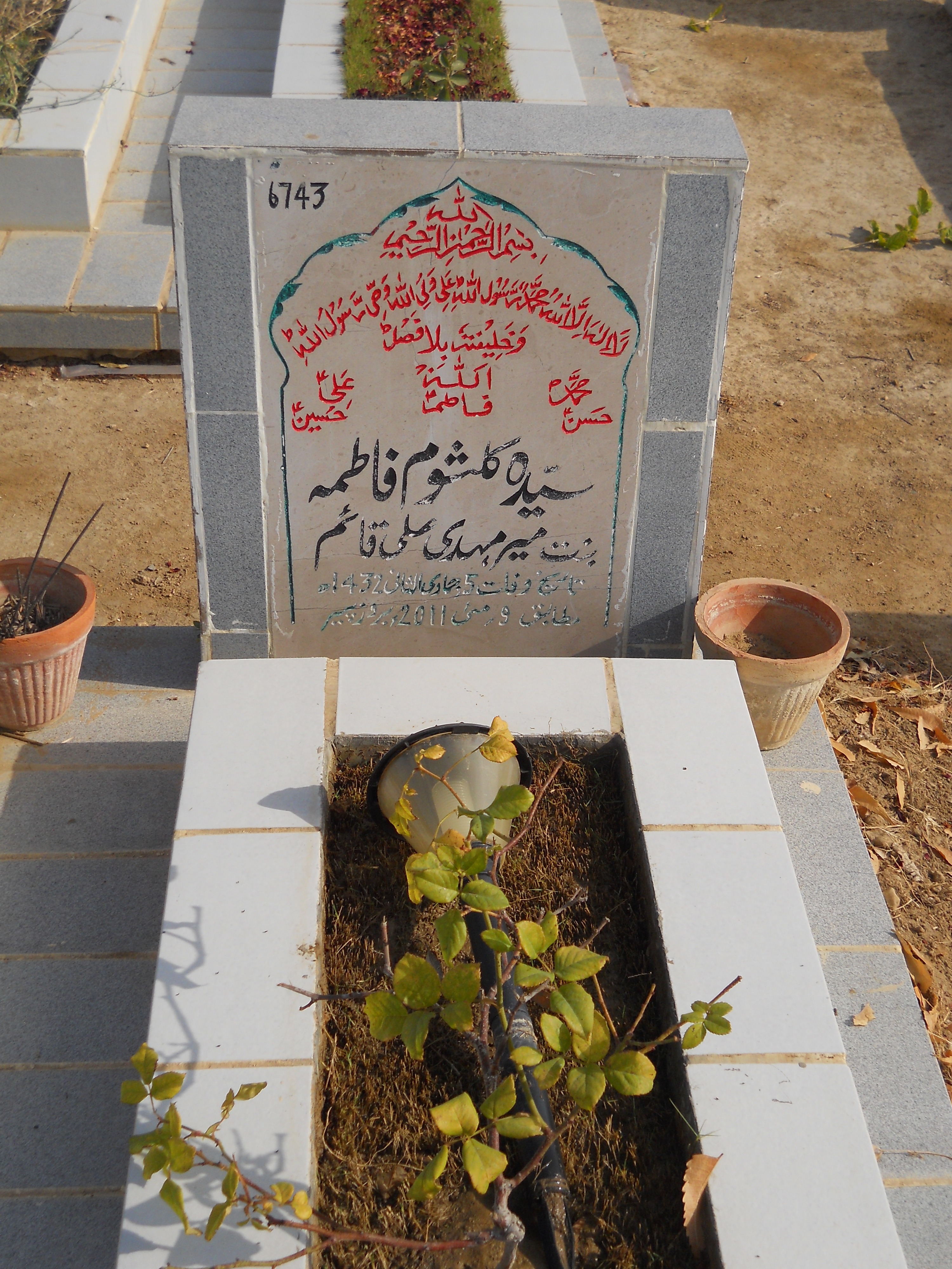 6743 – Syeda Kulsoom Fatima