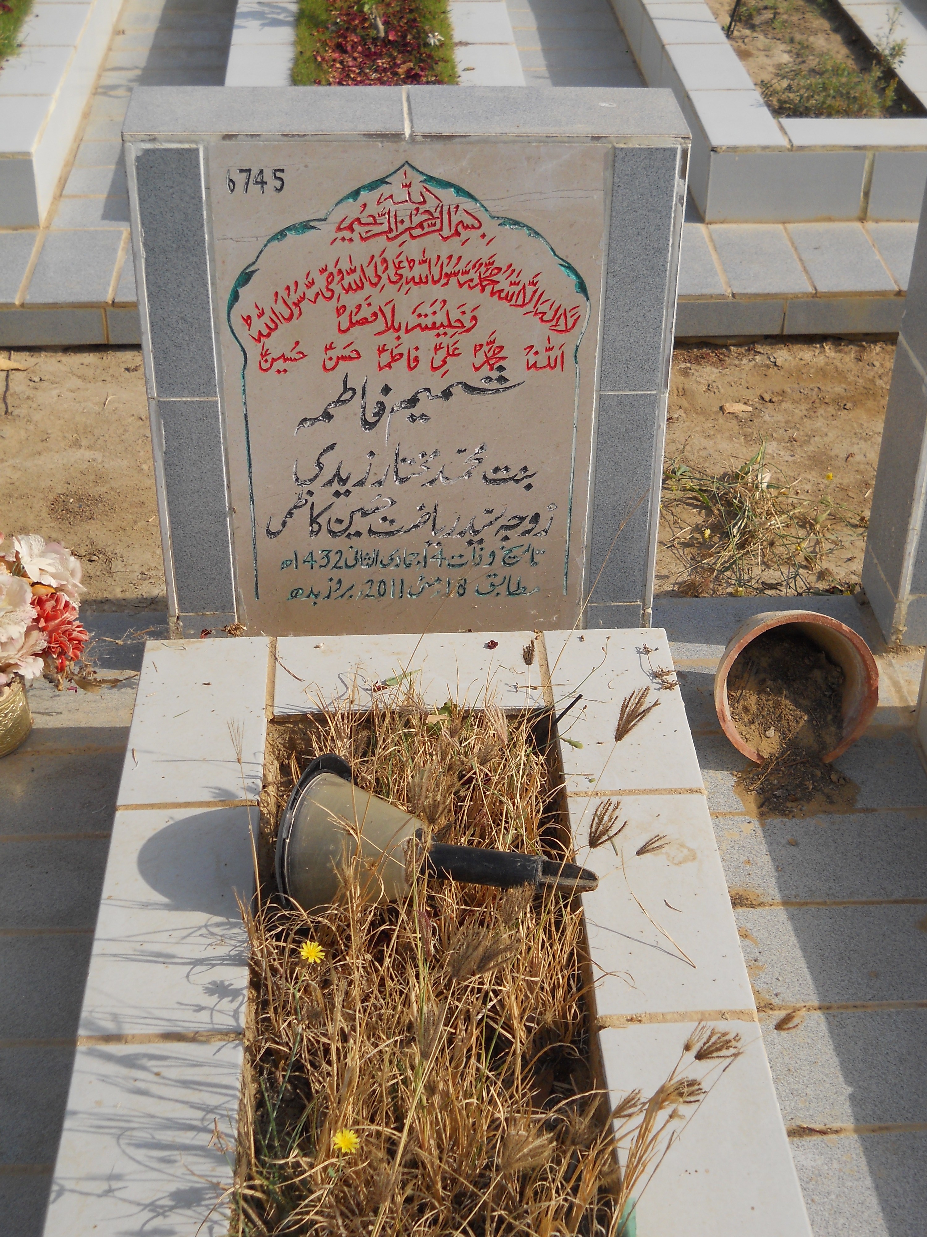 6745 – Shamim Fatima