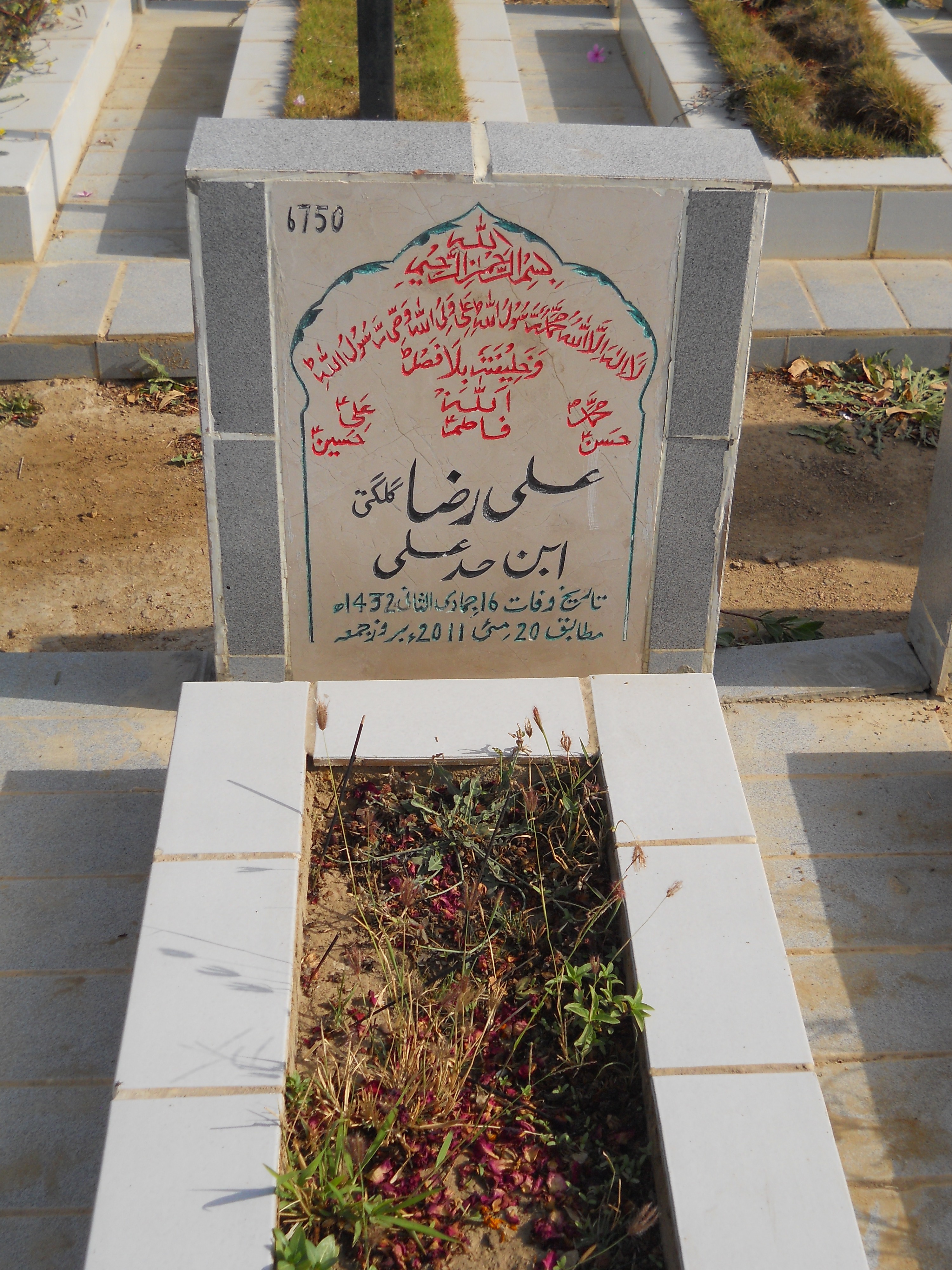 6750 – Ali Raza