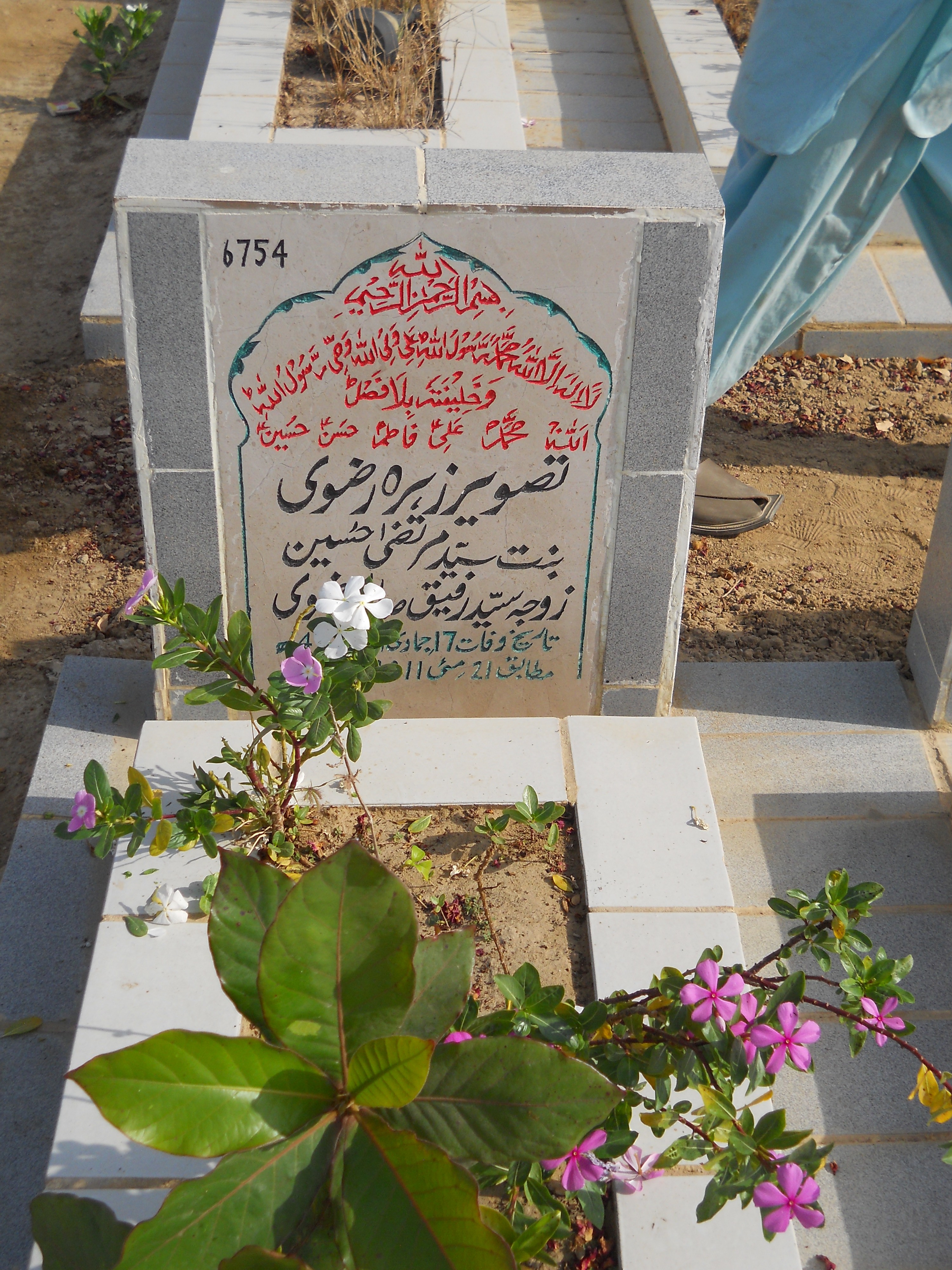 6754 – Tasveer Zehra Rizvi