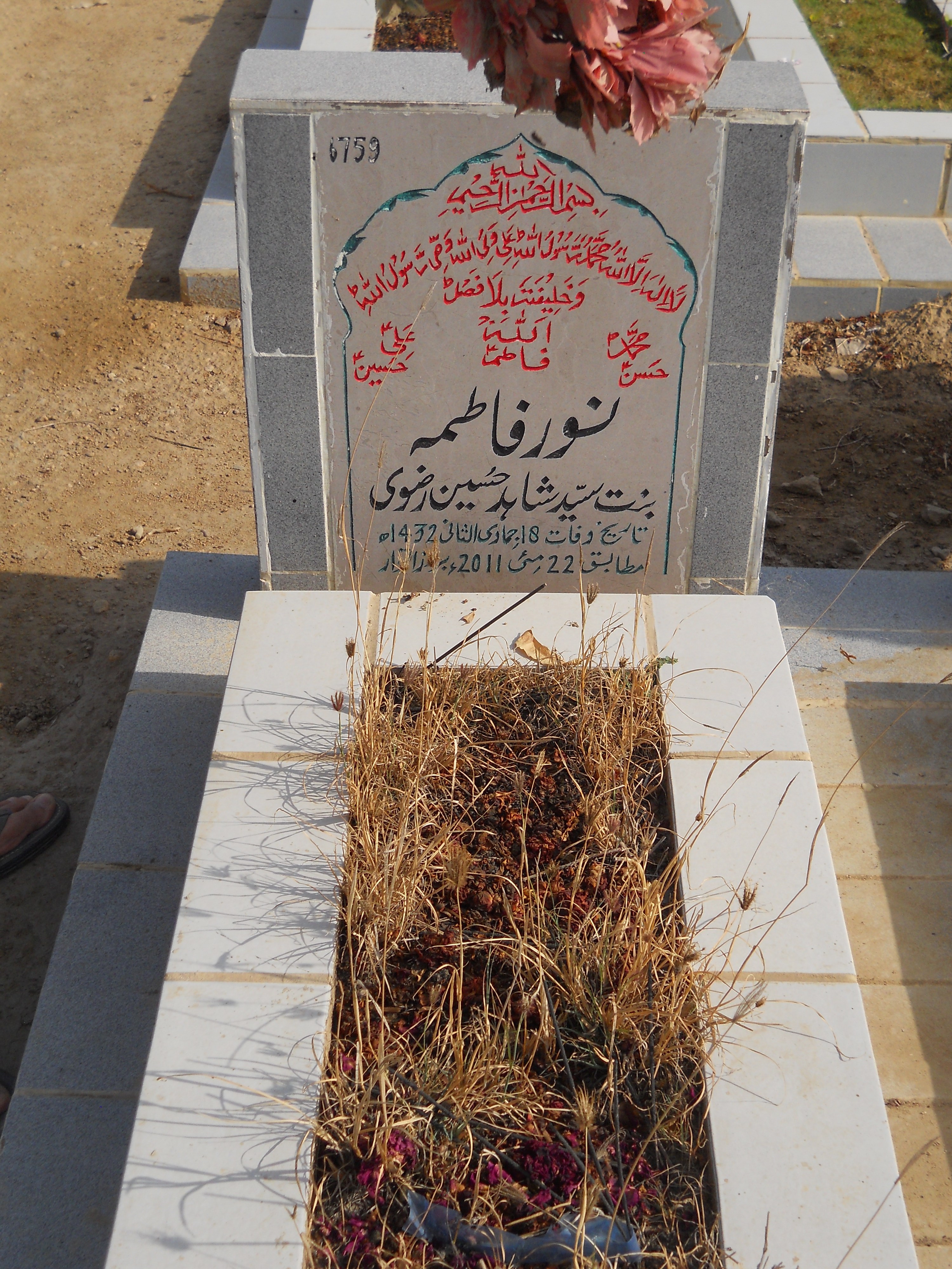 6759 – Noor Fatima