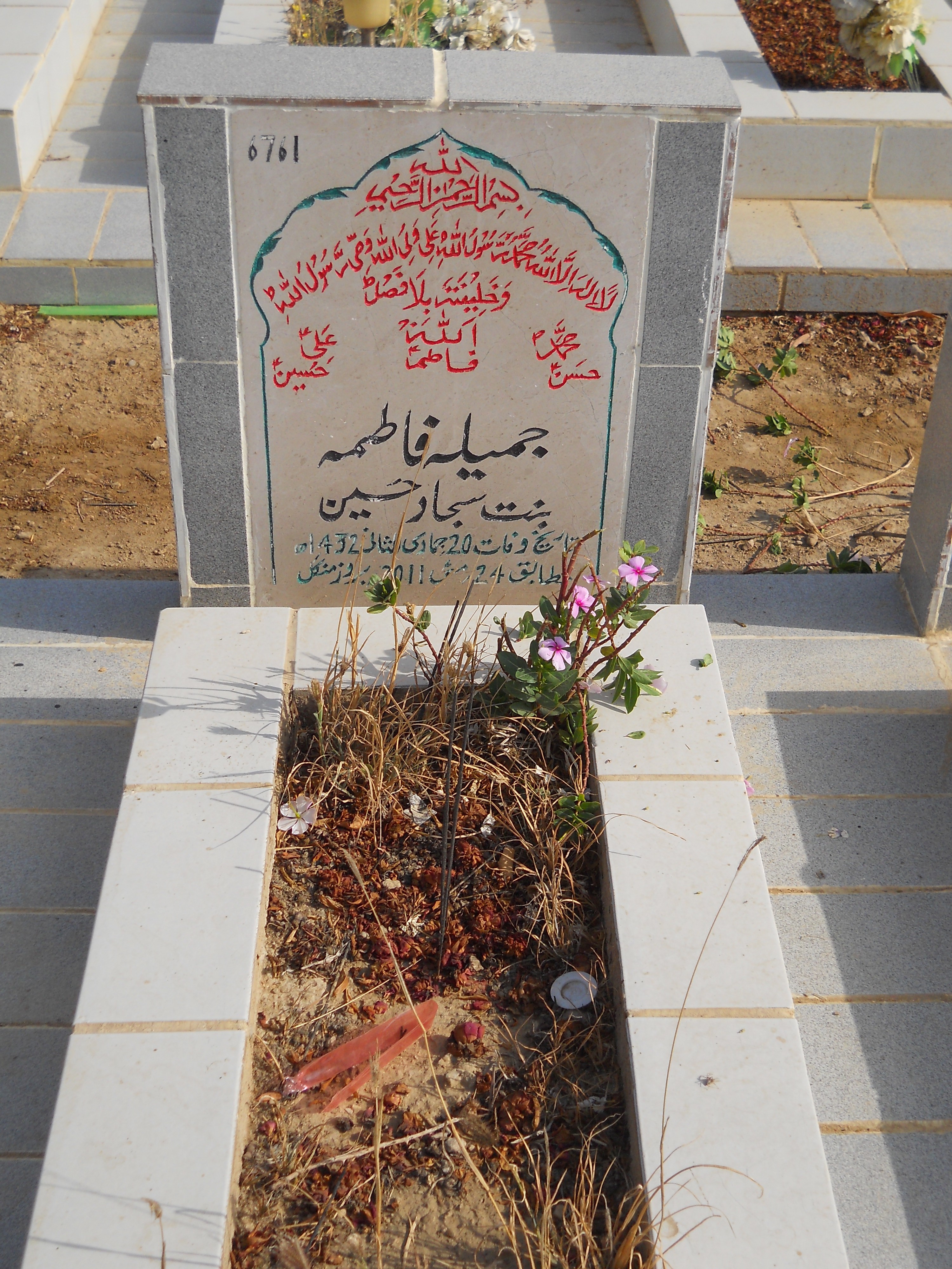 6761 – Jameela Fatima
