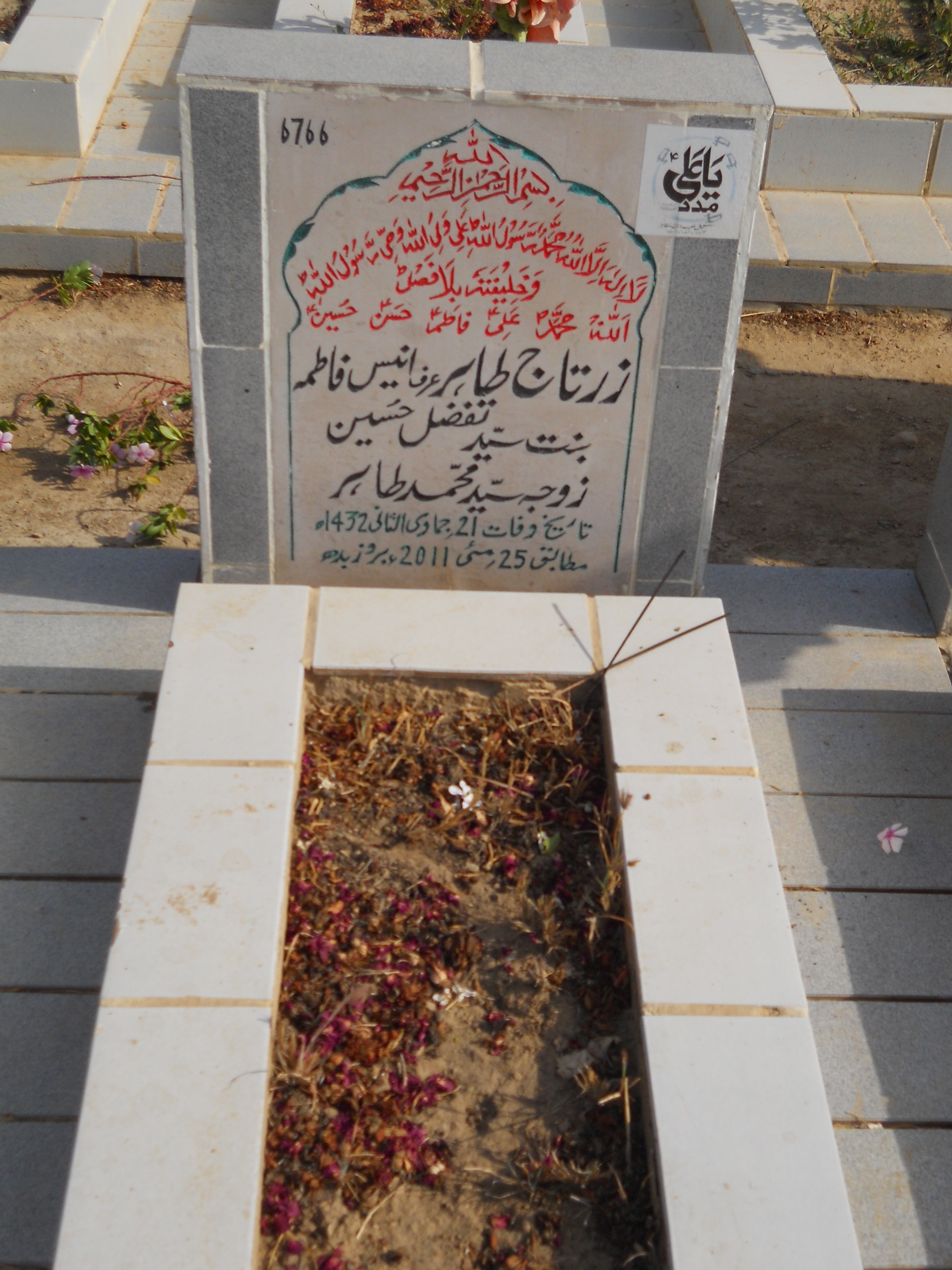 6766 – Zartaj Tahir