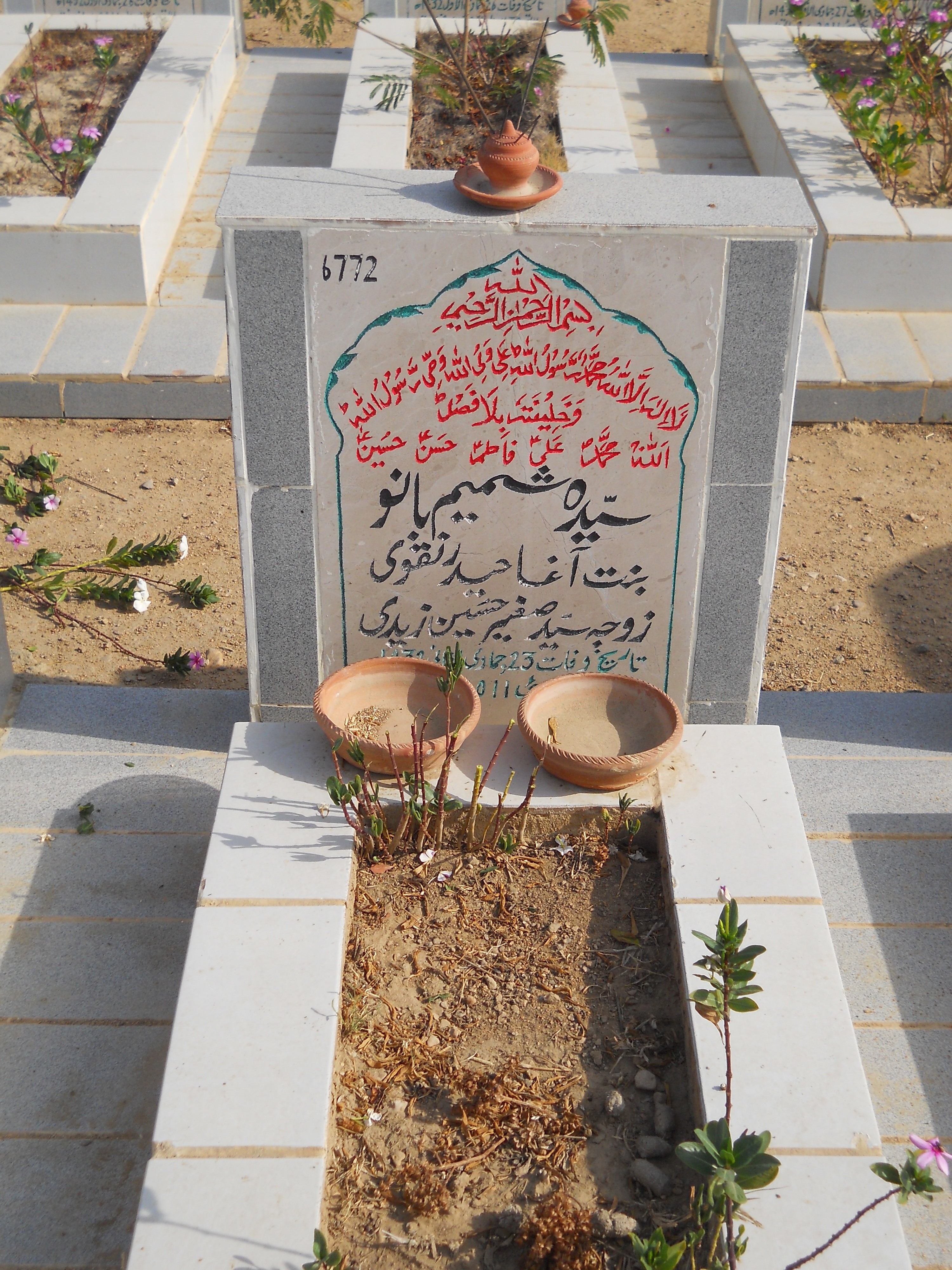 6772 – Syeda Shamim Bano
