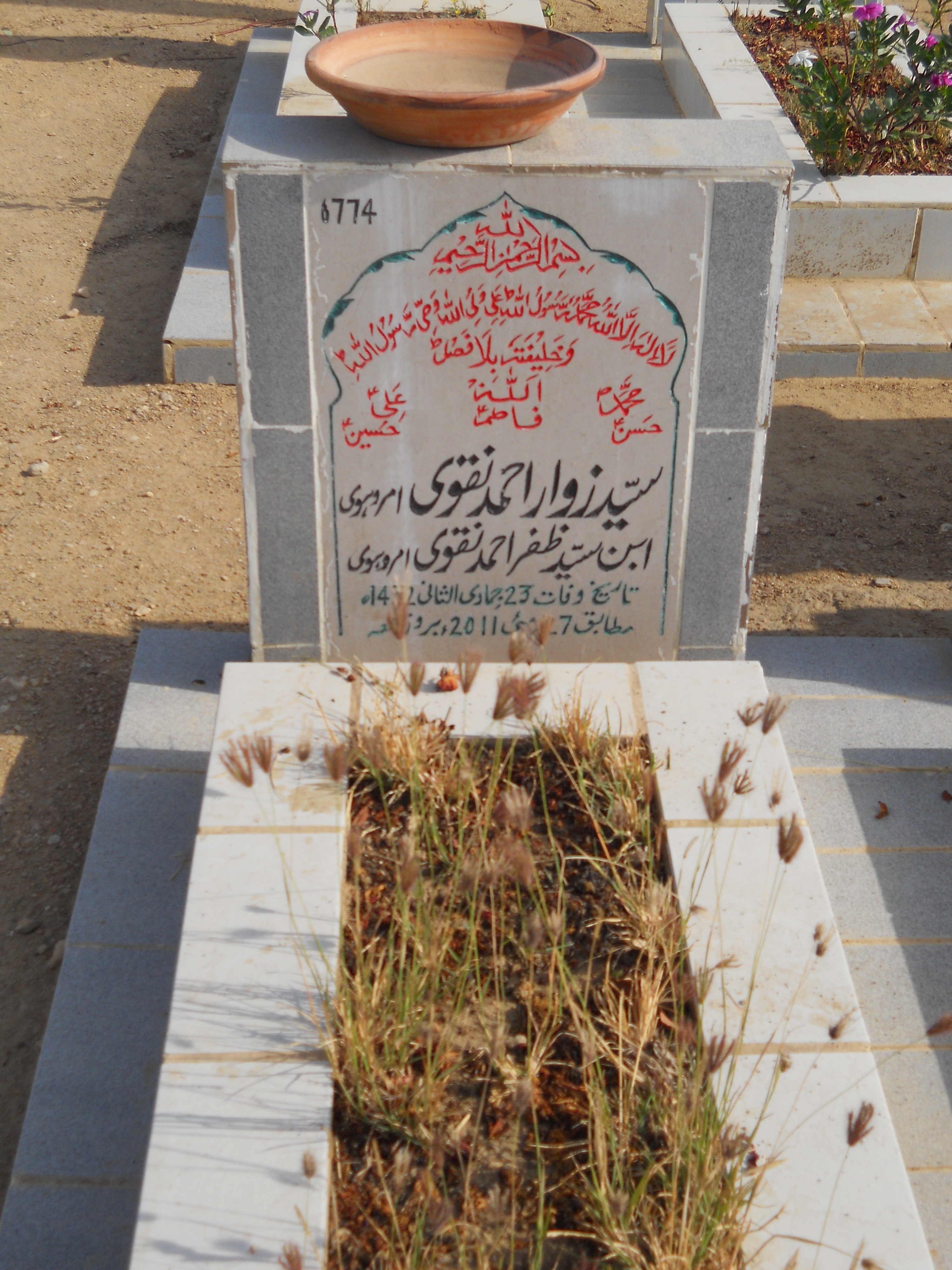 6774 – Syed Zawar Ahmed Naqvi