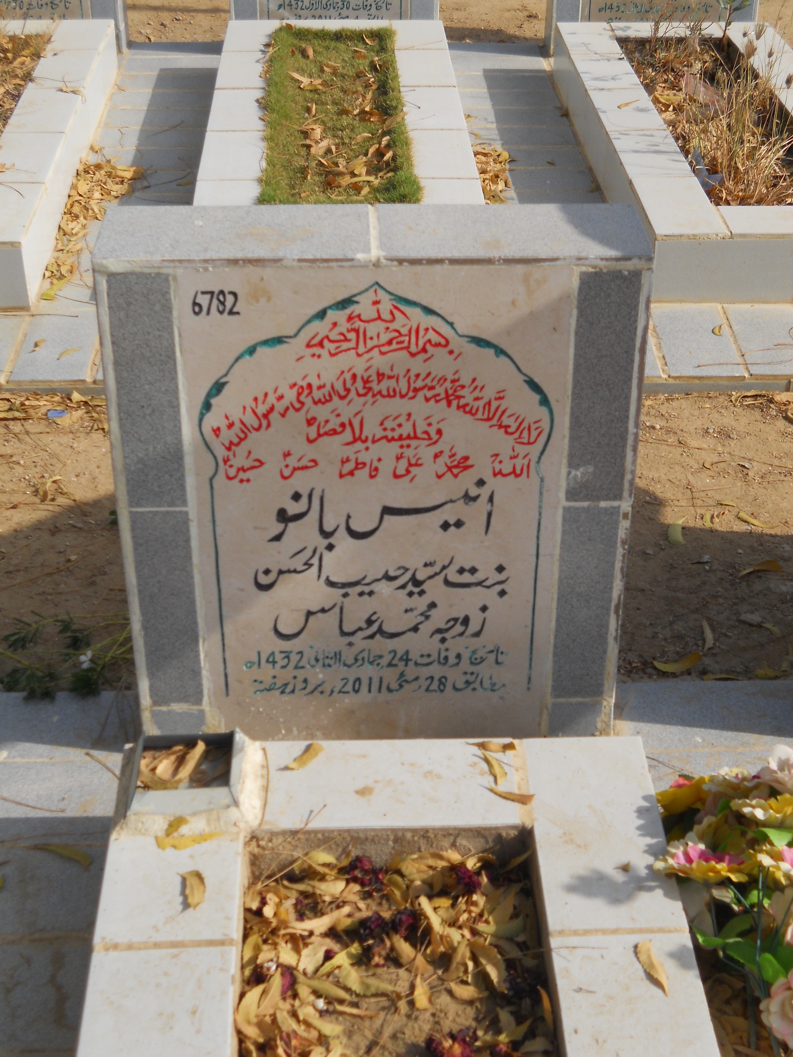 6782 – Anees Bano