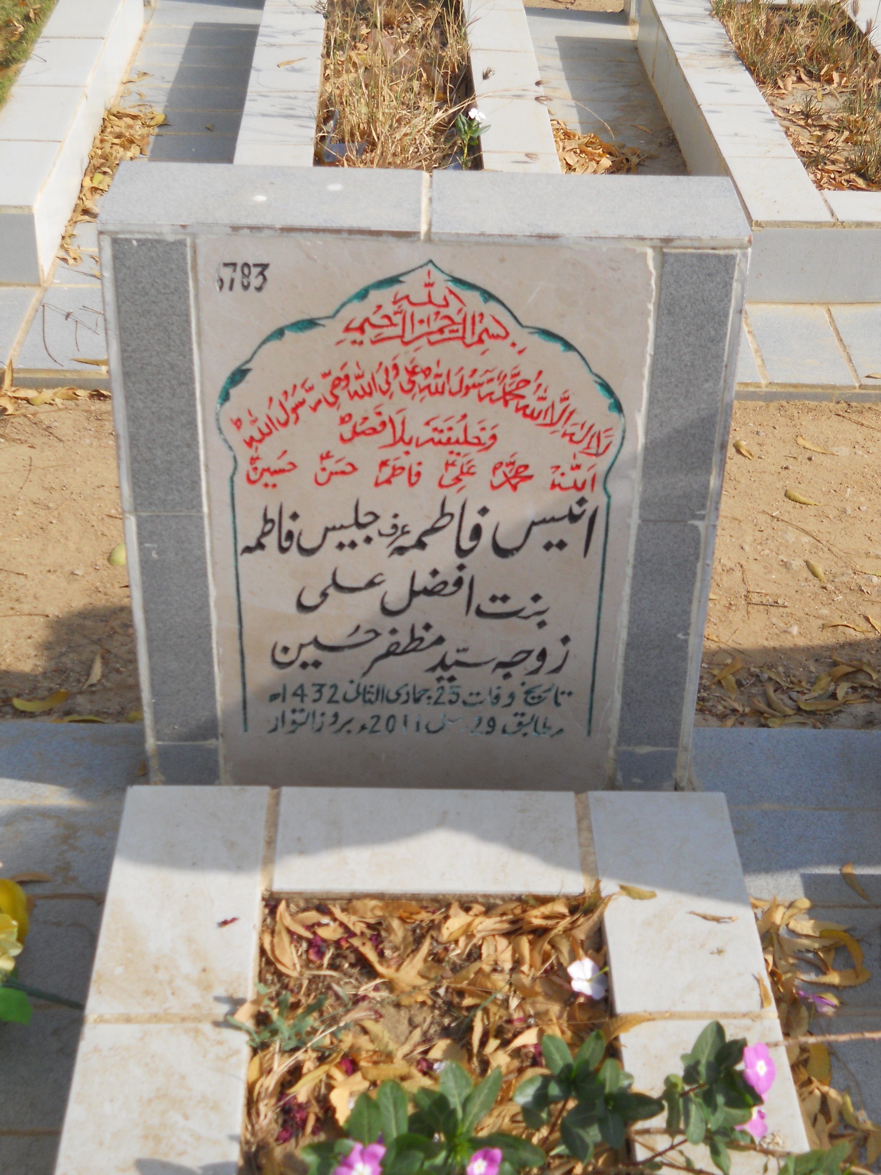 6783 – Anees Fatima