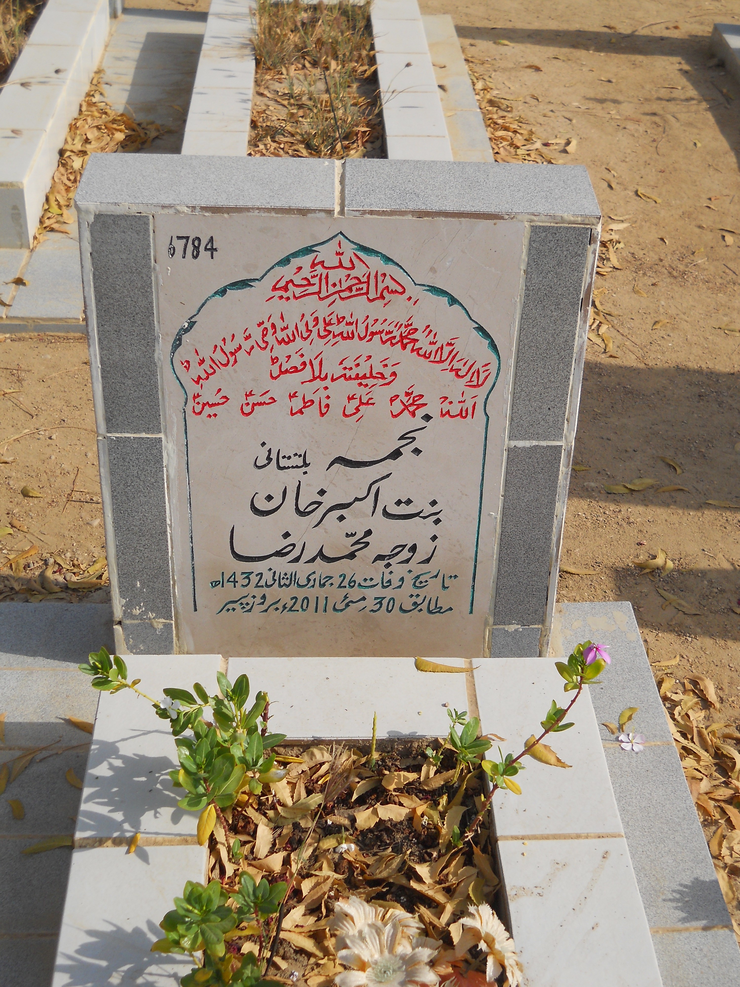 6784 – Najma