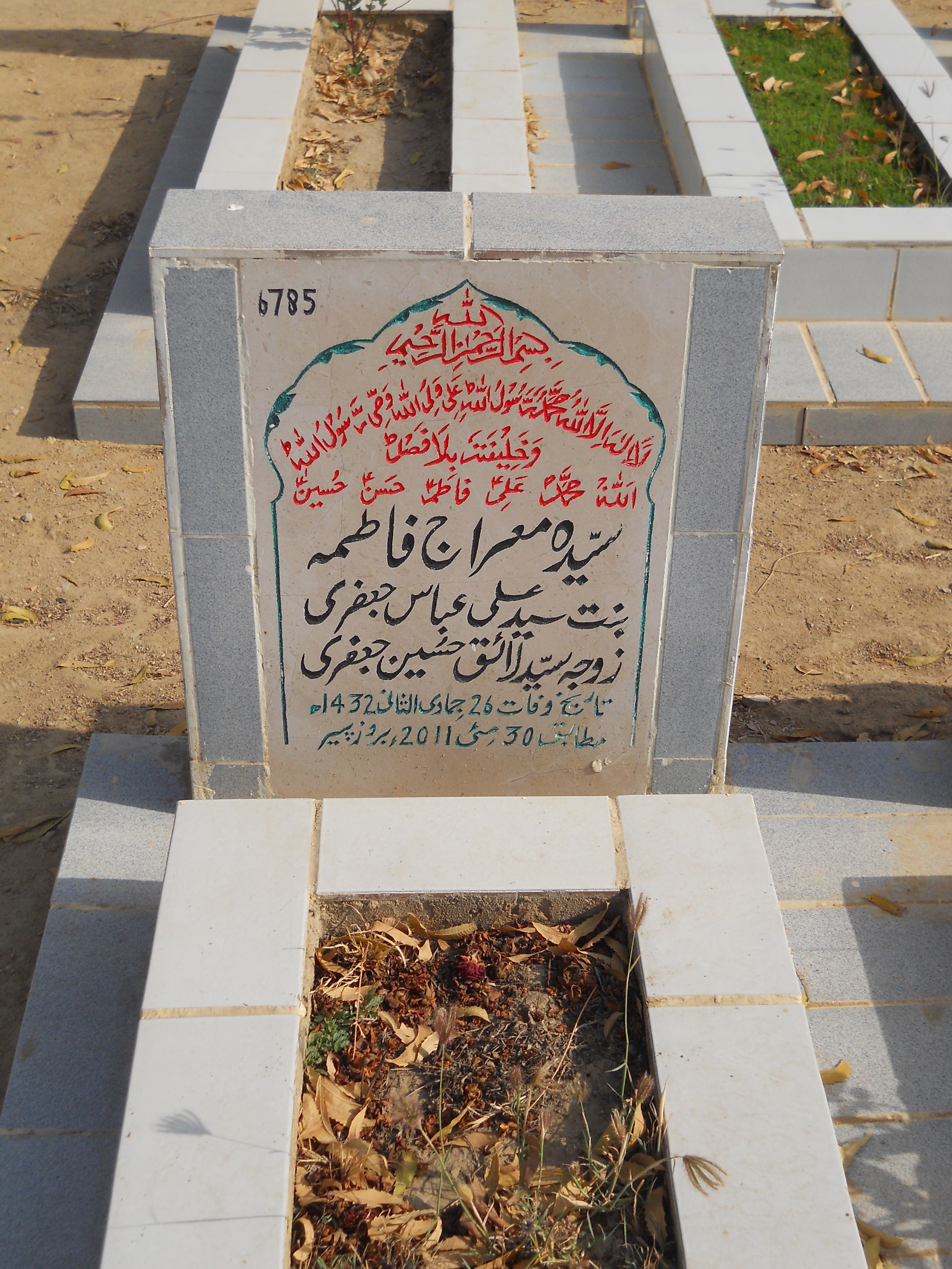 6785 – Syeda Miraj Fatima