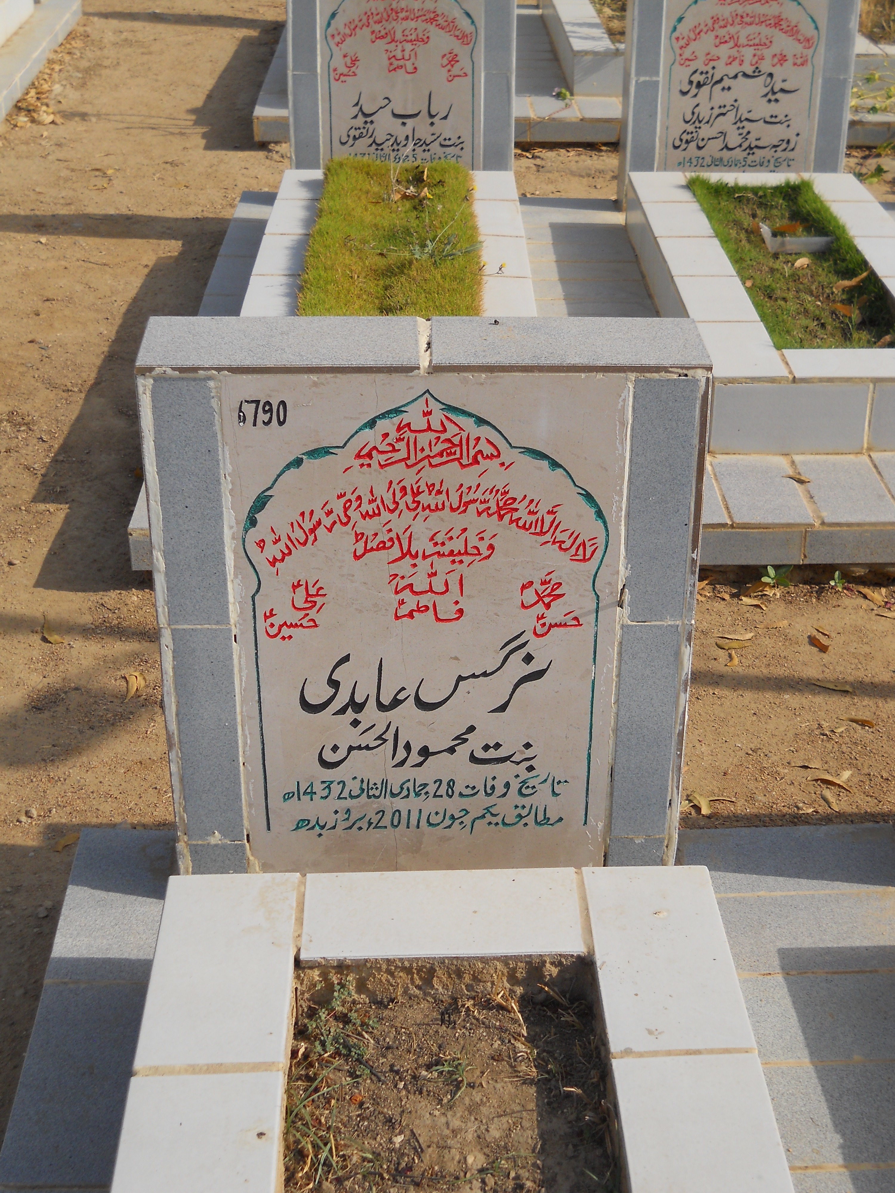 6790 – Nargis Abidi