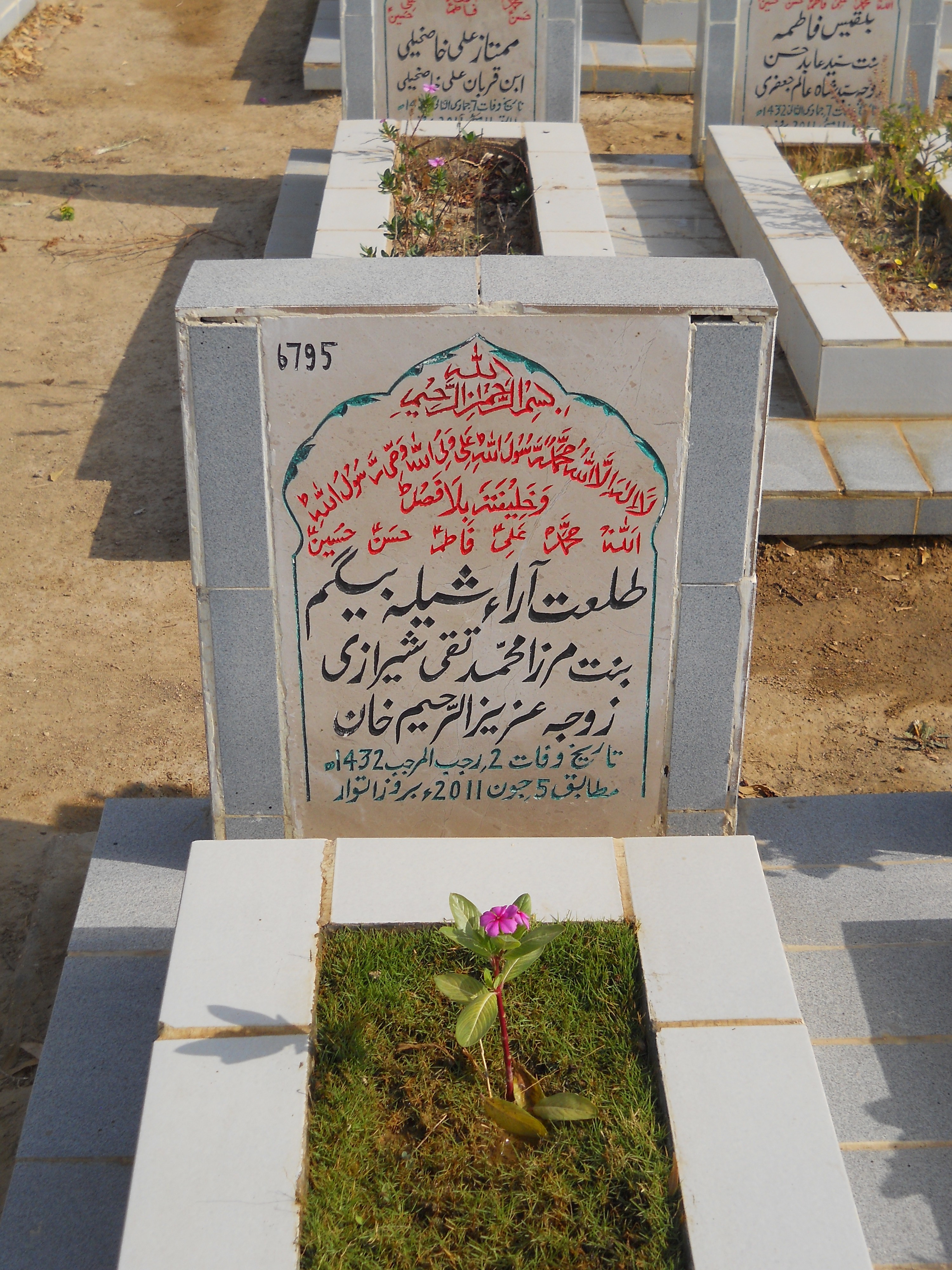 6795 – Talat Araa