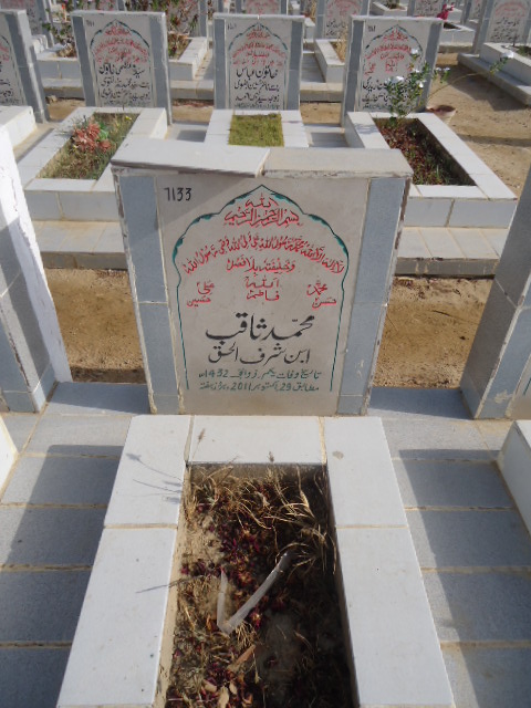 7133 – Muhammad Saqib