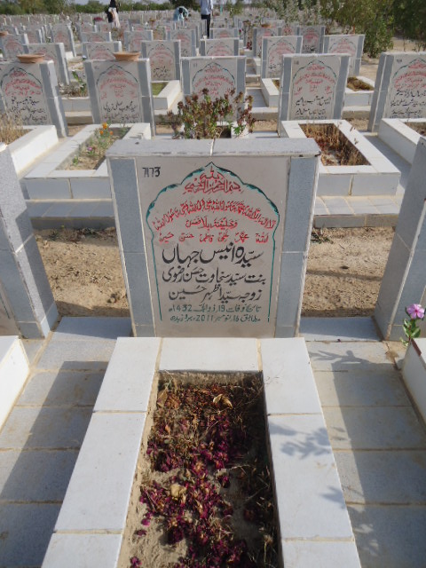 7173 – Syeda Anees Jahan