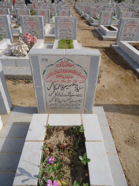 7190 – Syeda Shamim Fatima Kazmi