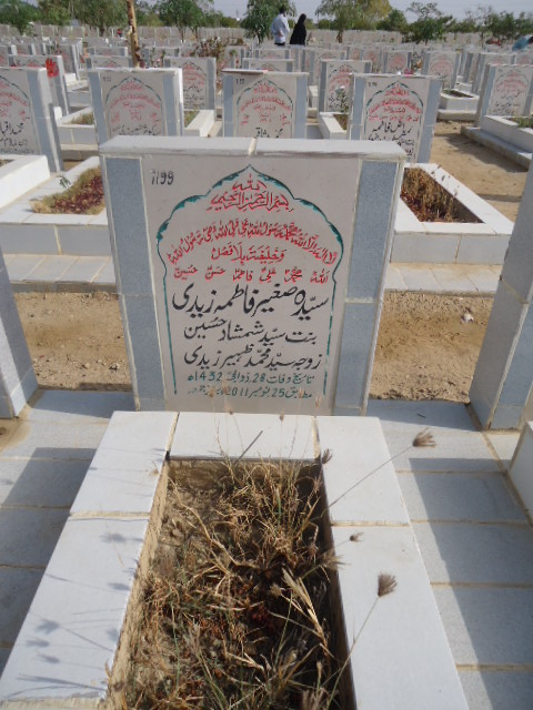 7199 – Syeda Sagheer Fatima Zaidi