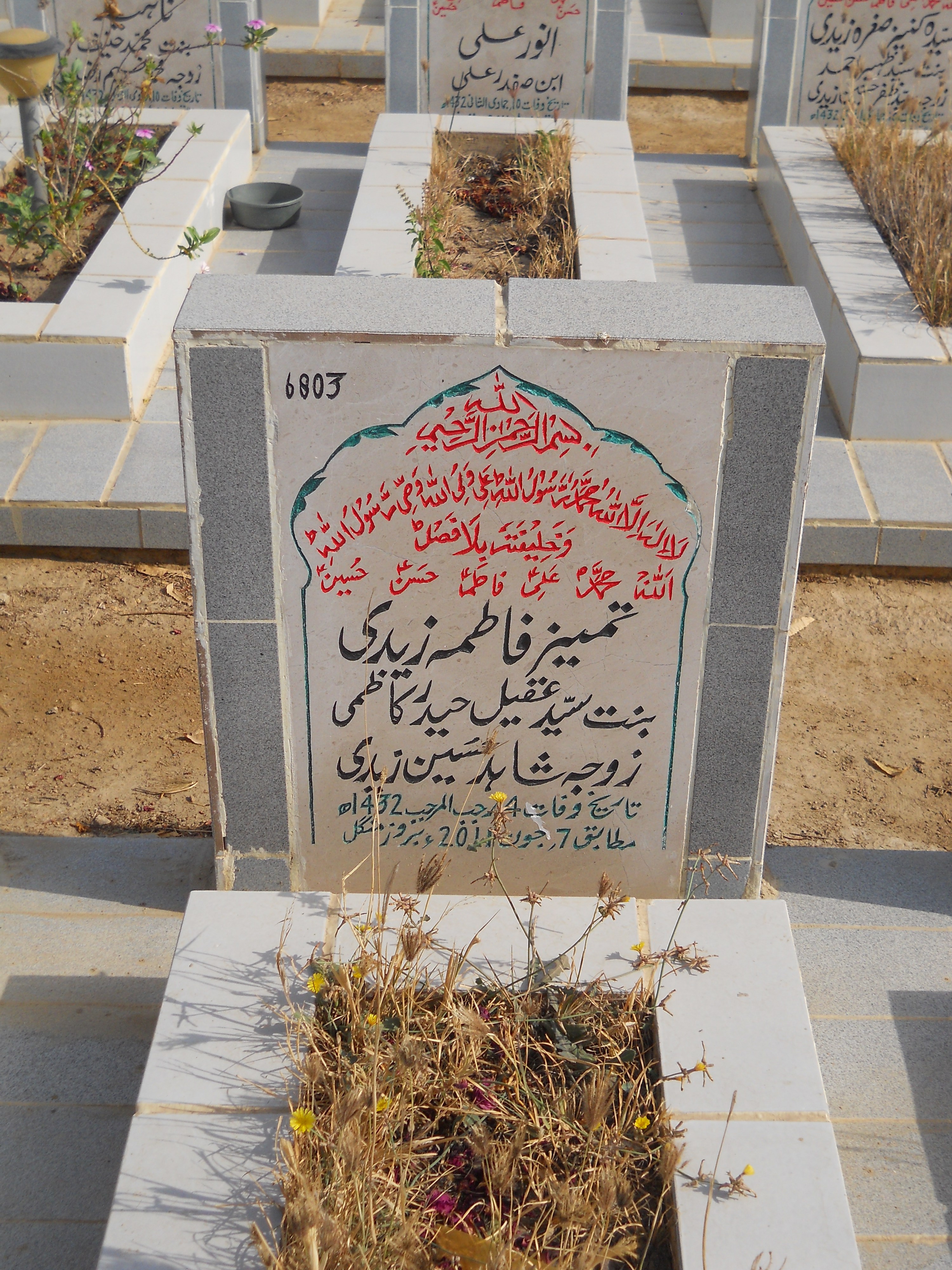 6803 – Tameez Fatima Zaidi