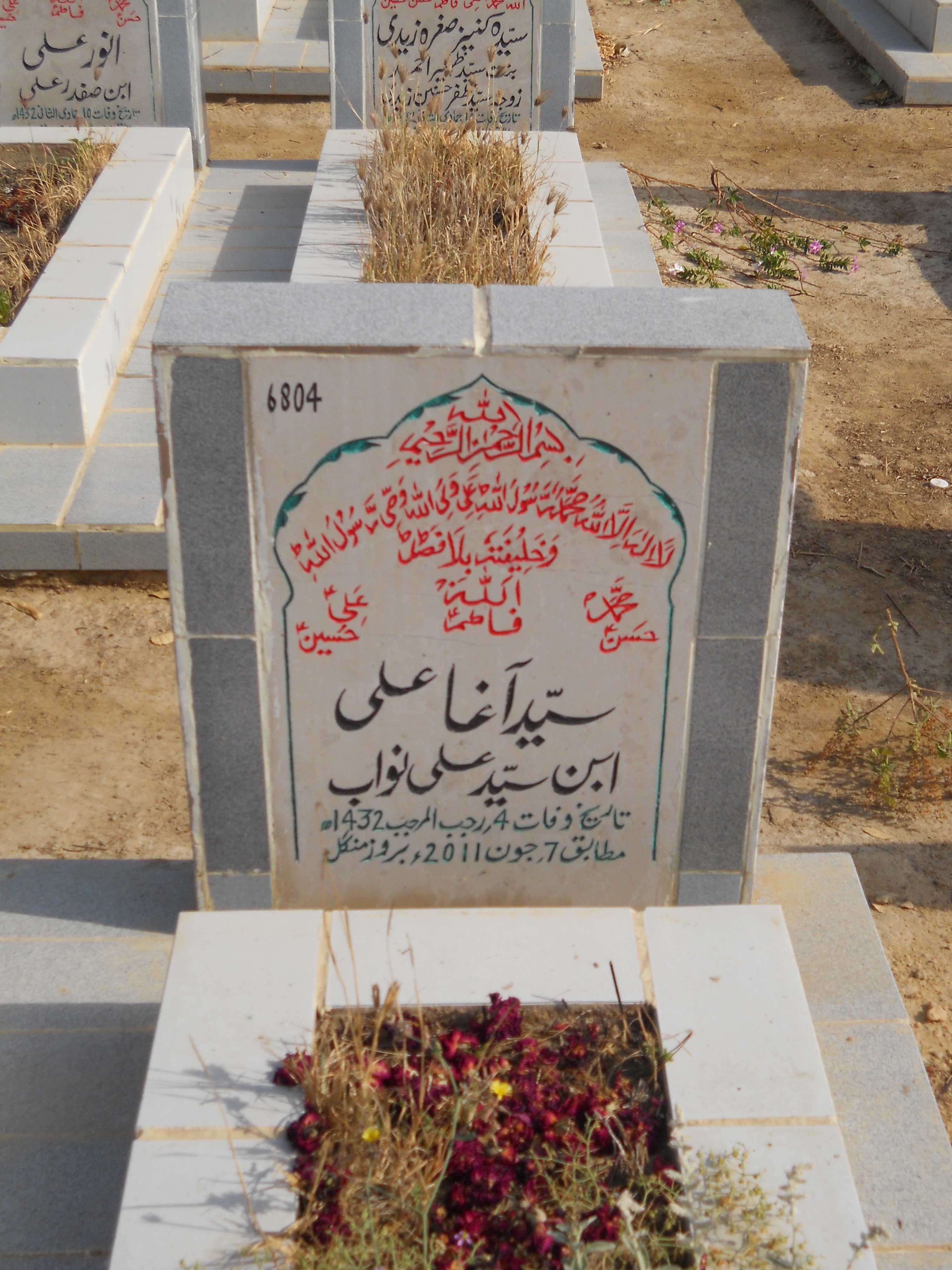 6804 – Syed Agha Ali