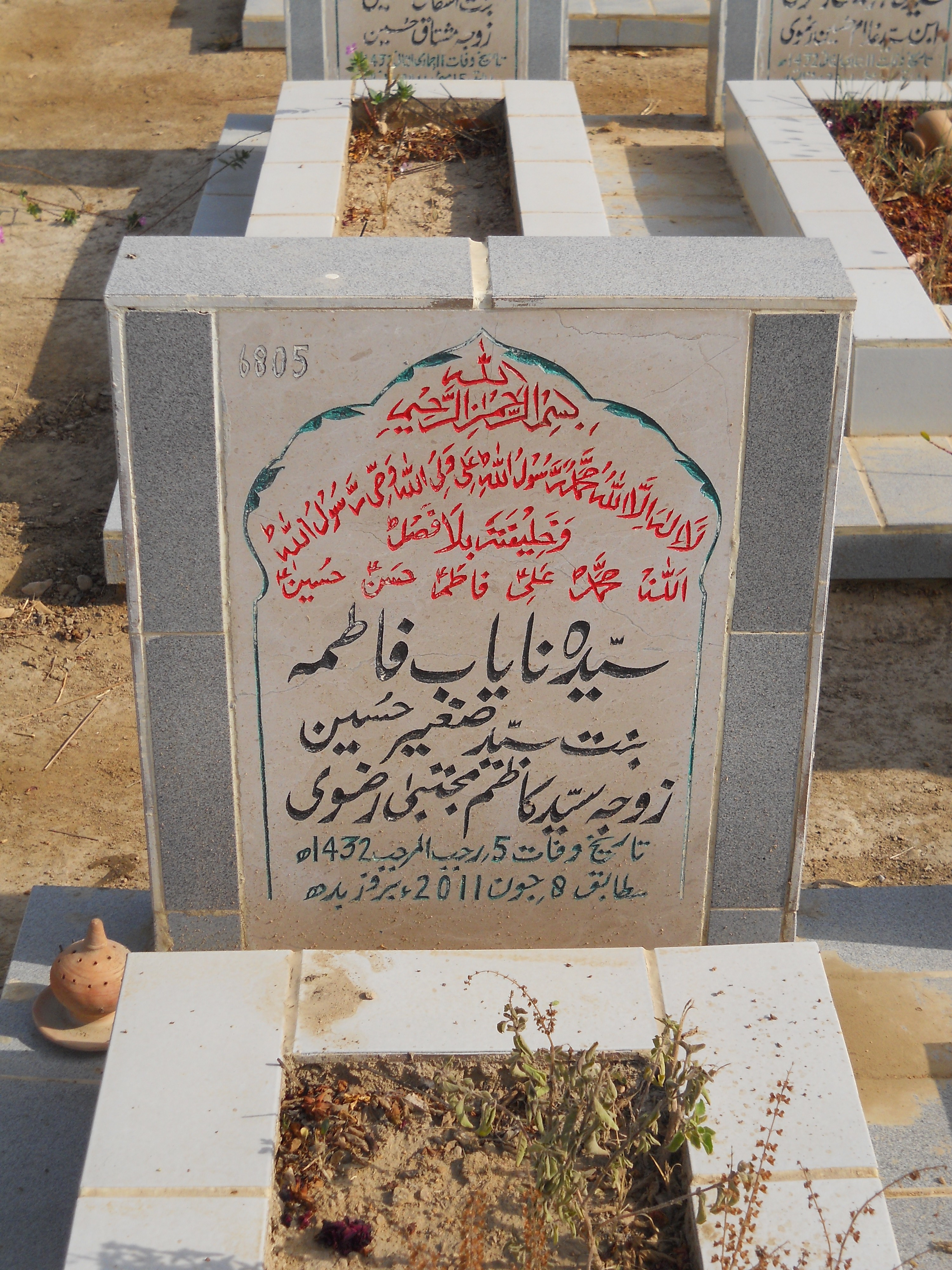 6805 – Syeda Nayab Fatima