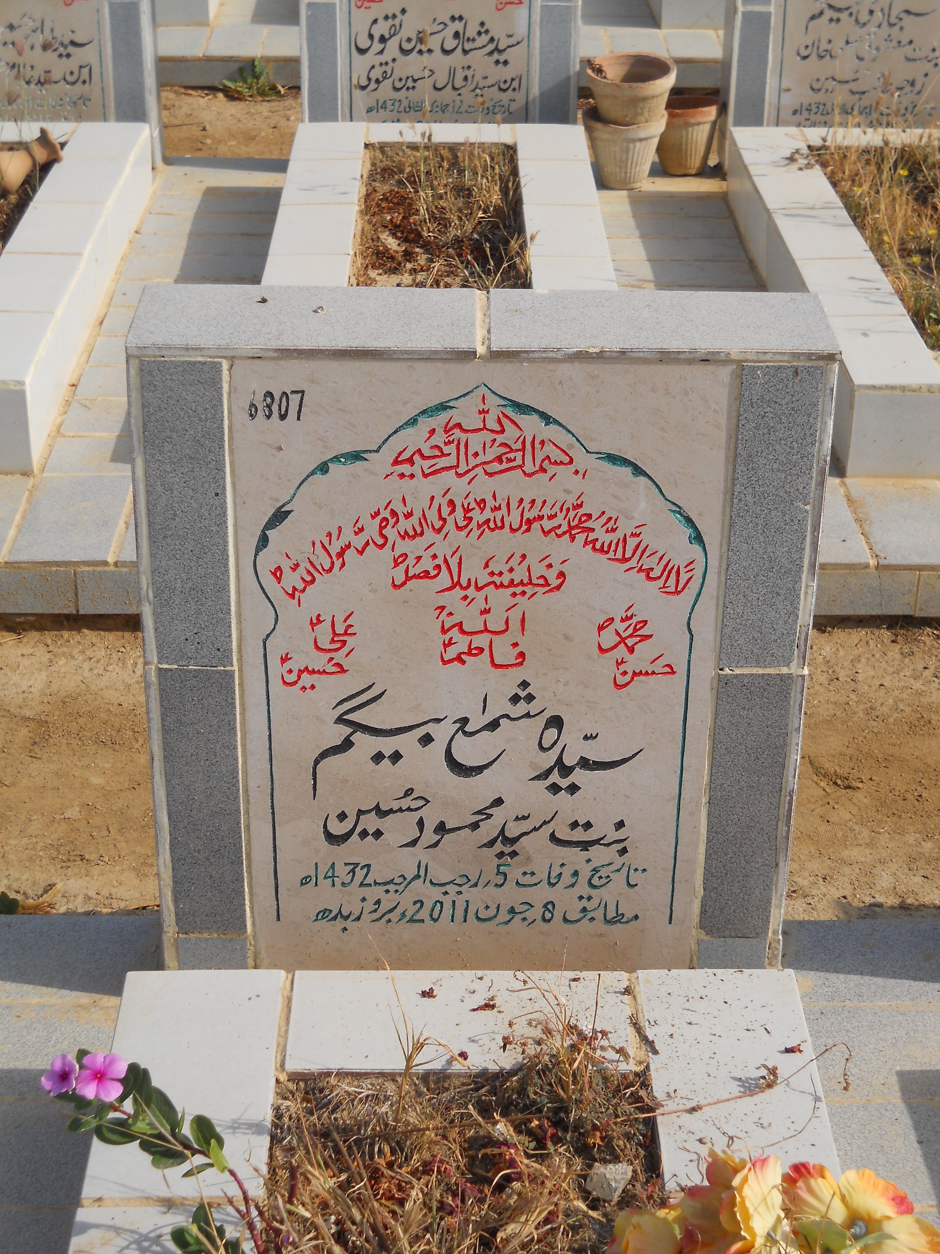 6807 – Syeda Shama Begum
