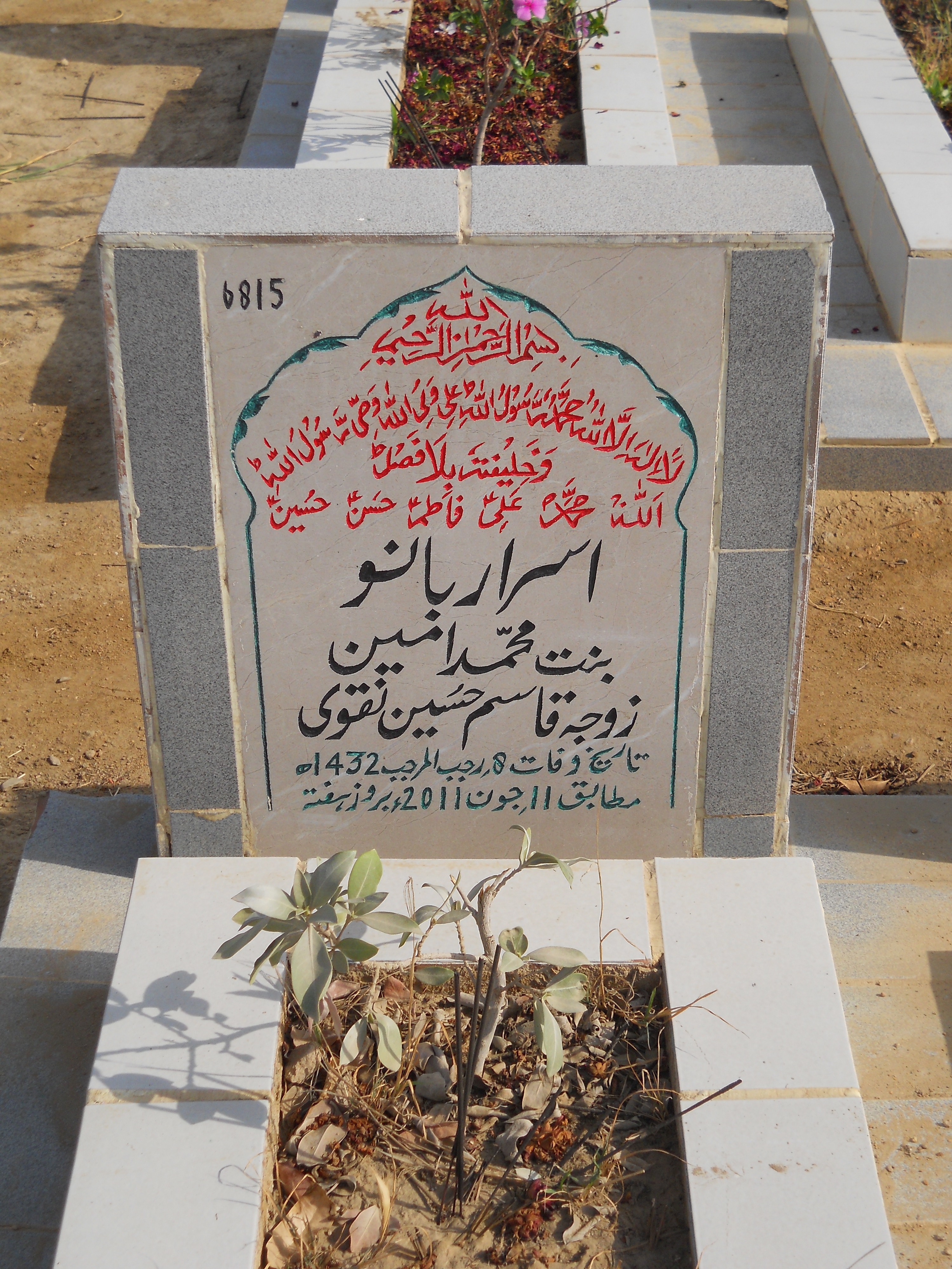 6815 – Israr Bano