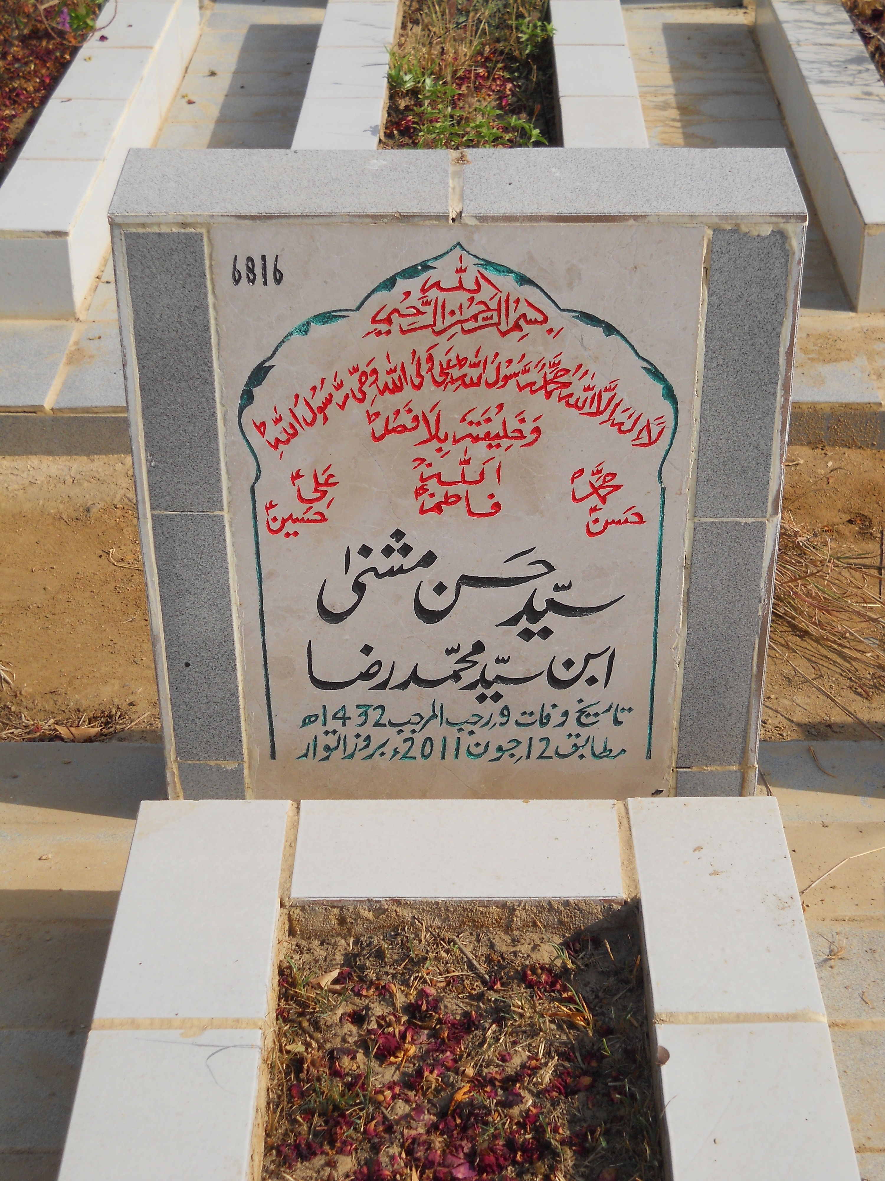 6816 – Syed Hasan Mushni