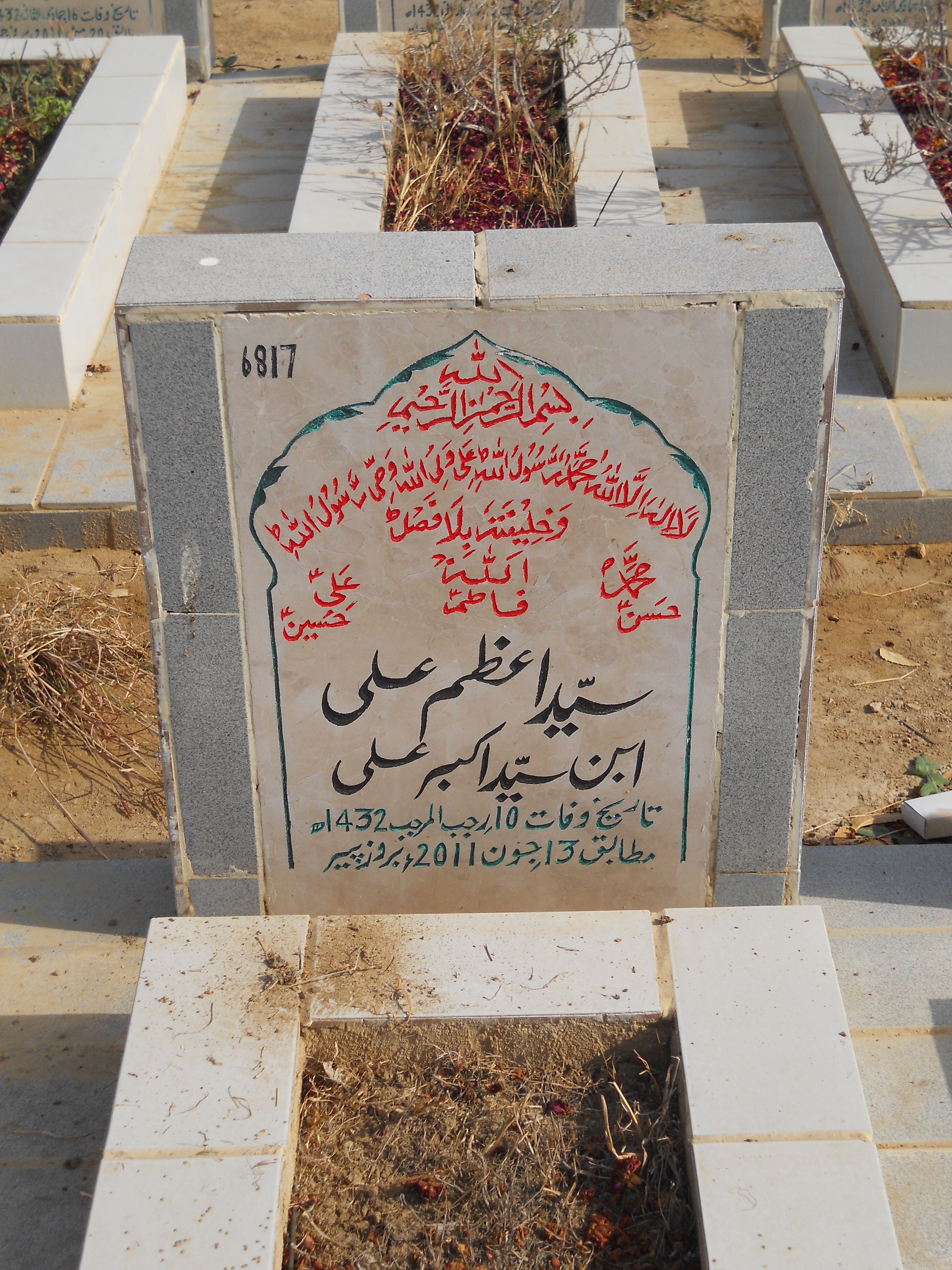 6817 – Syed Azam Ali