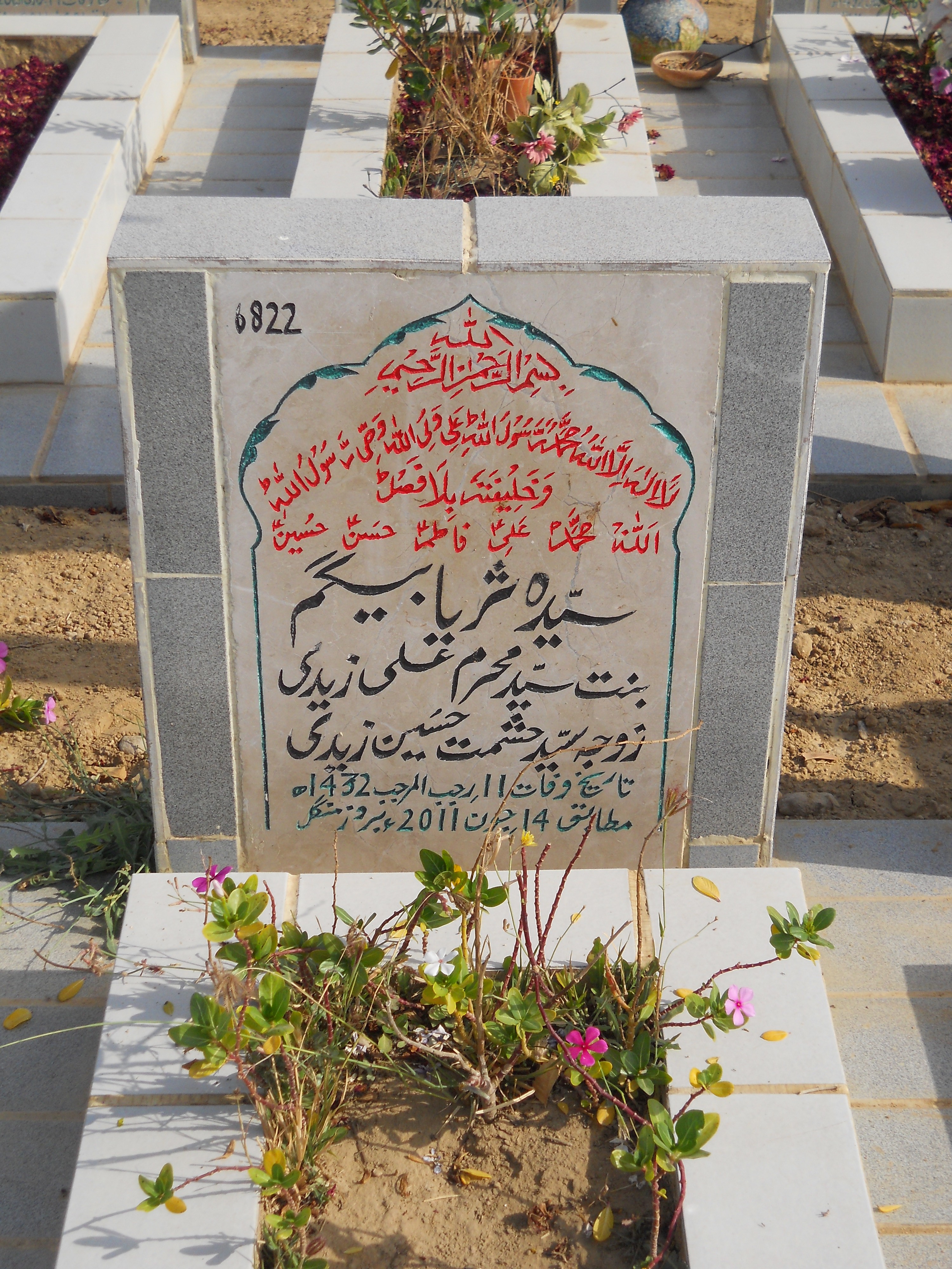 6822 – Syeda Suriya Begum